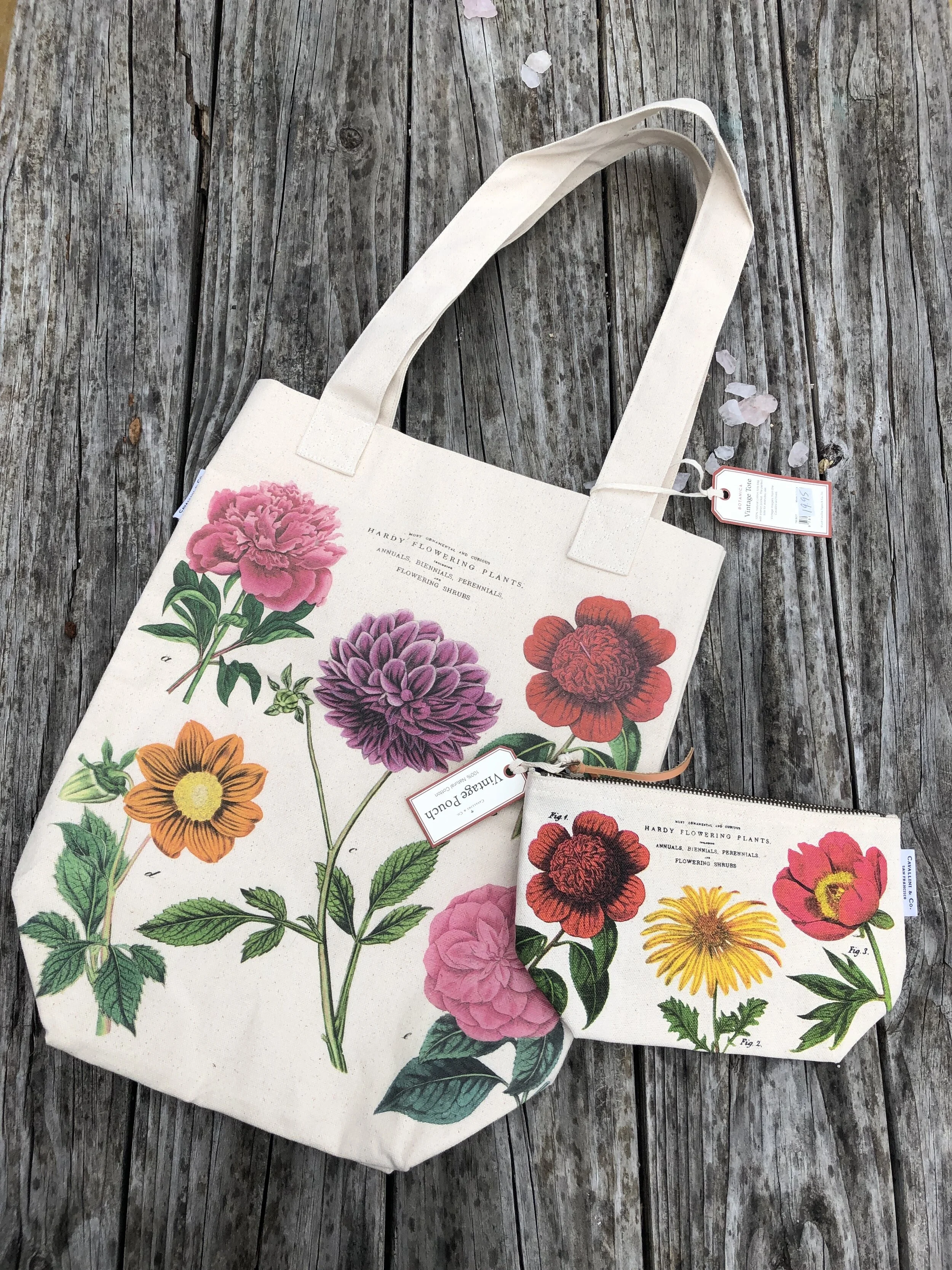 BBE3854D-4284-4482-9C51-662653F37109