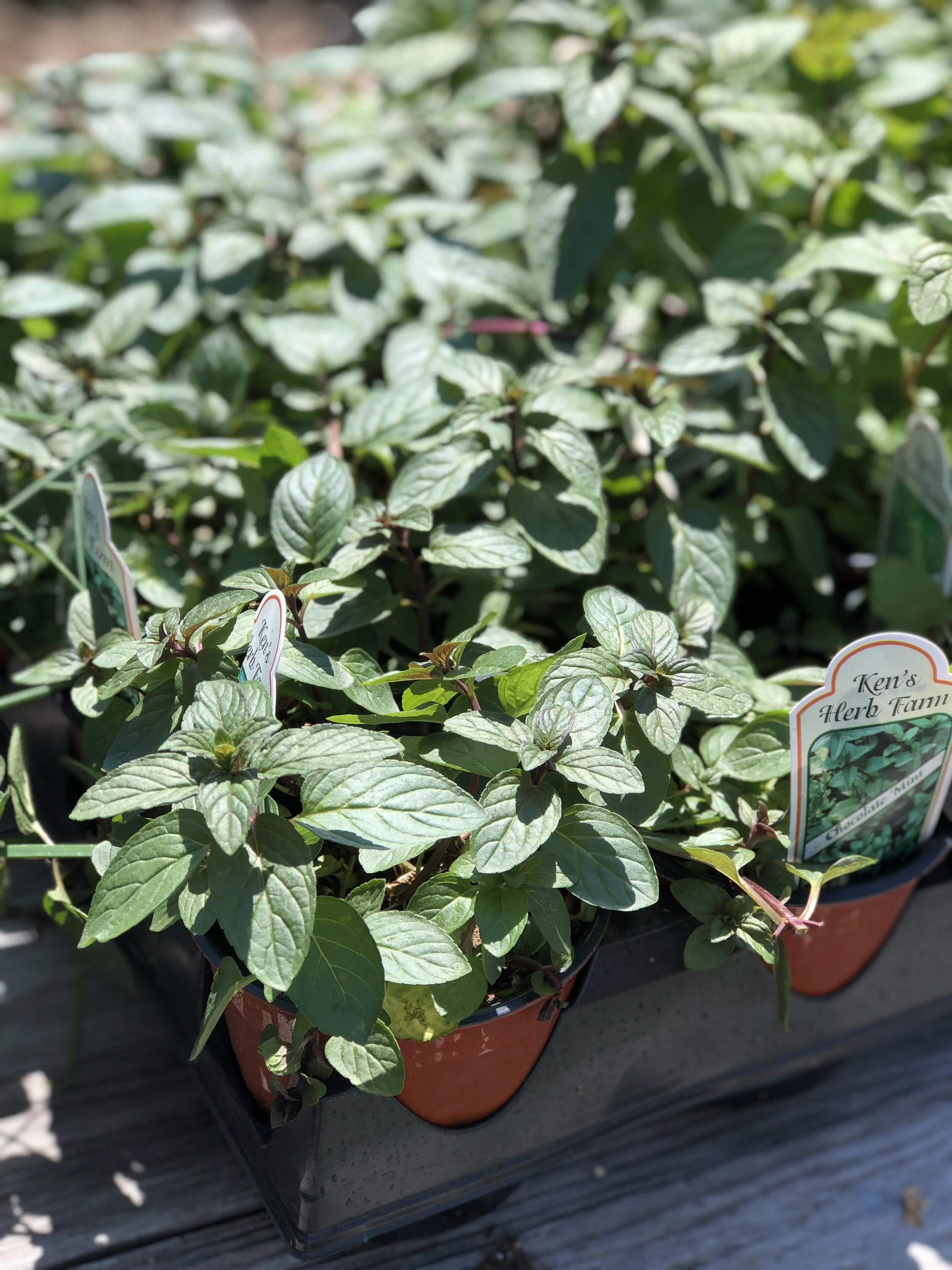 ABFCF7DE-4174-4C68-BD3D-0D776ADAADA3