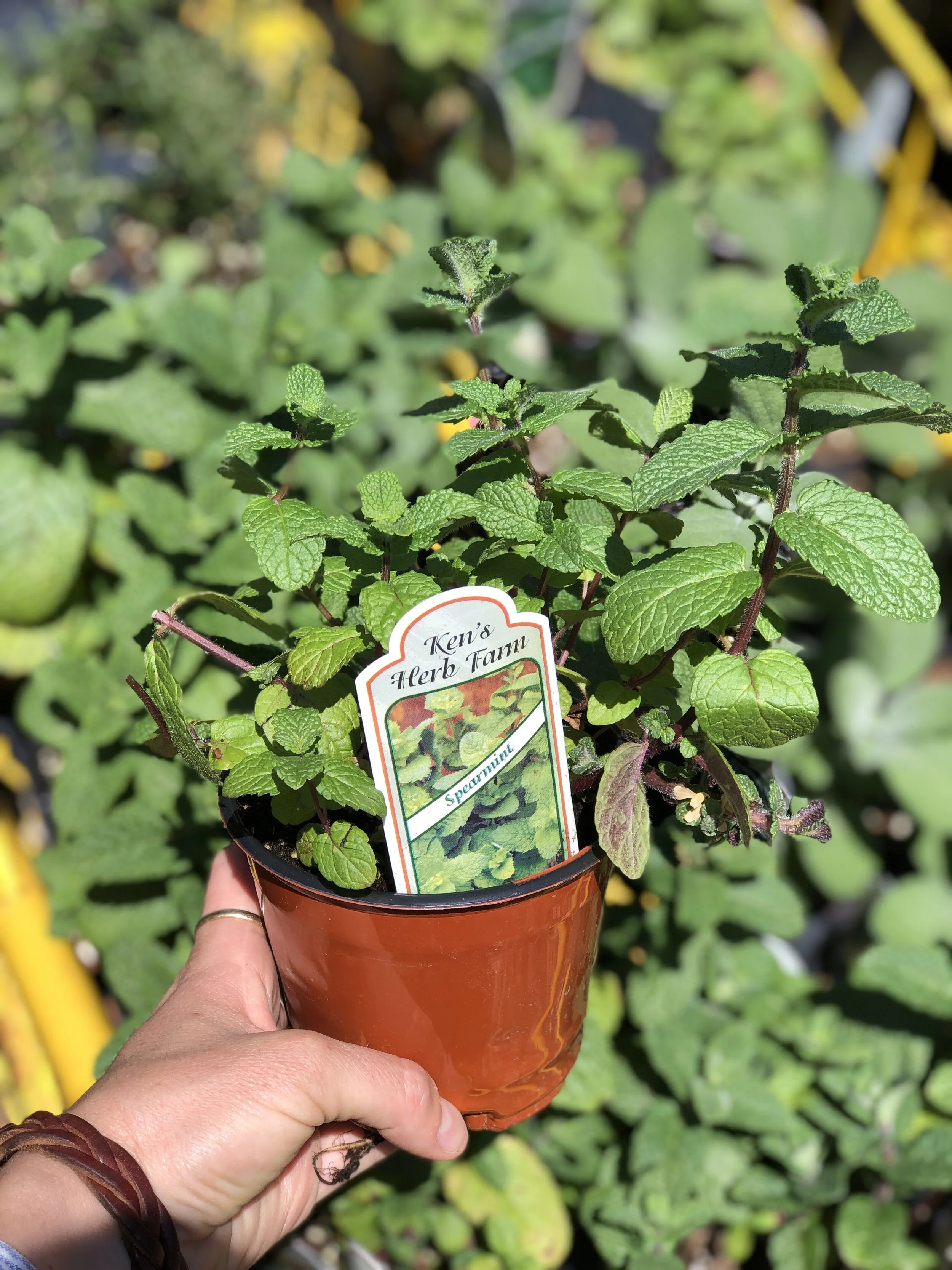 CCDCFEFB-0A7E-412E-AC10-ACD37E1BDD3D