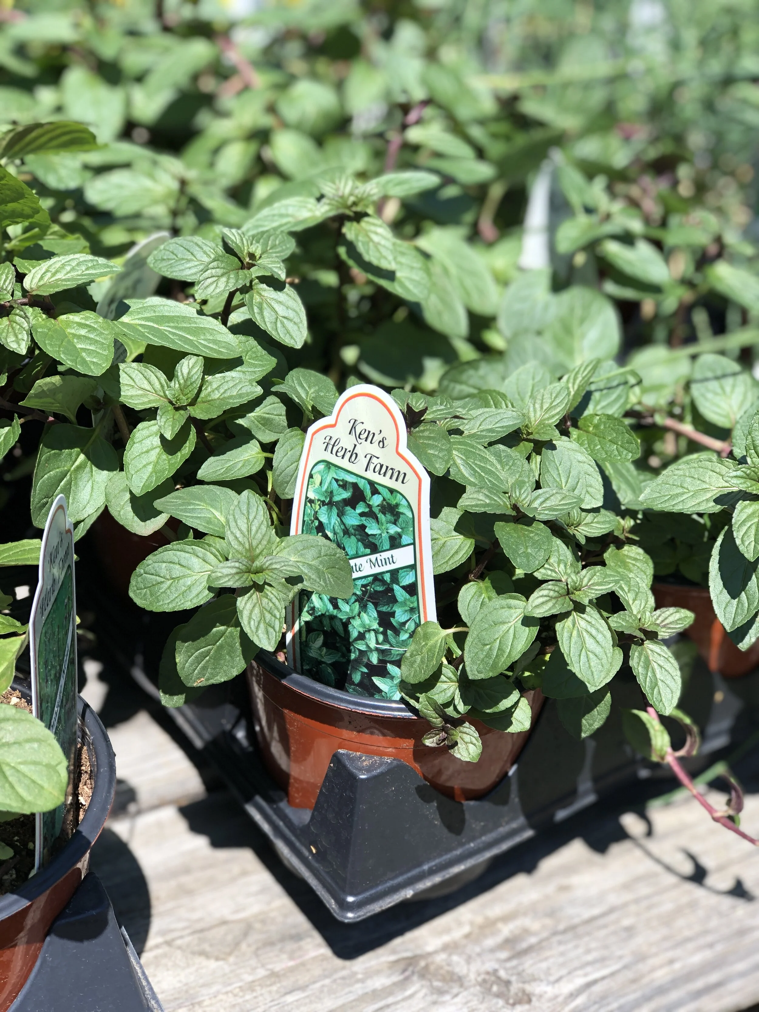 8F39897A-52BE-4040-95D7-054F7B1E190C