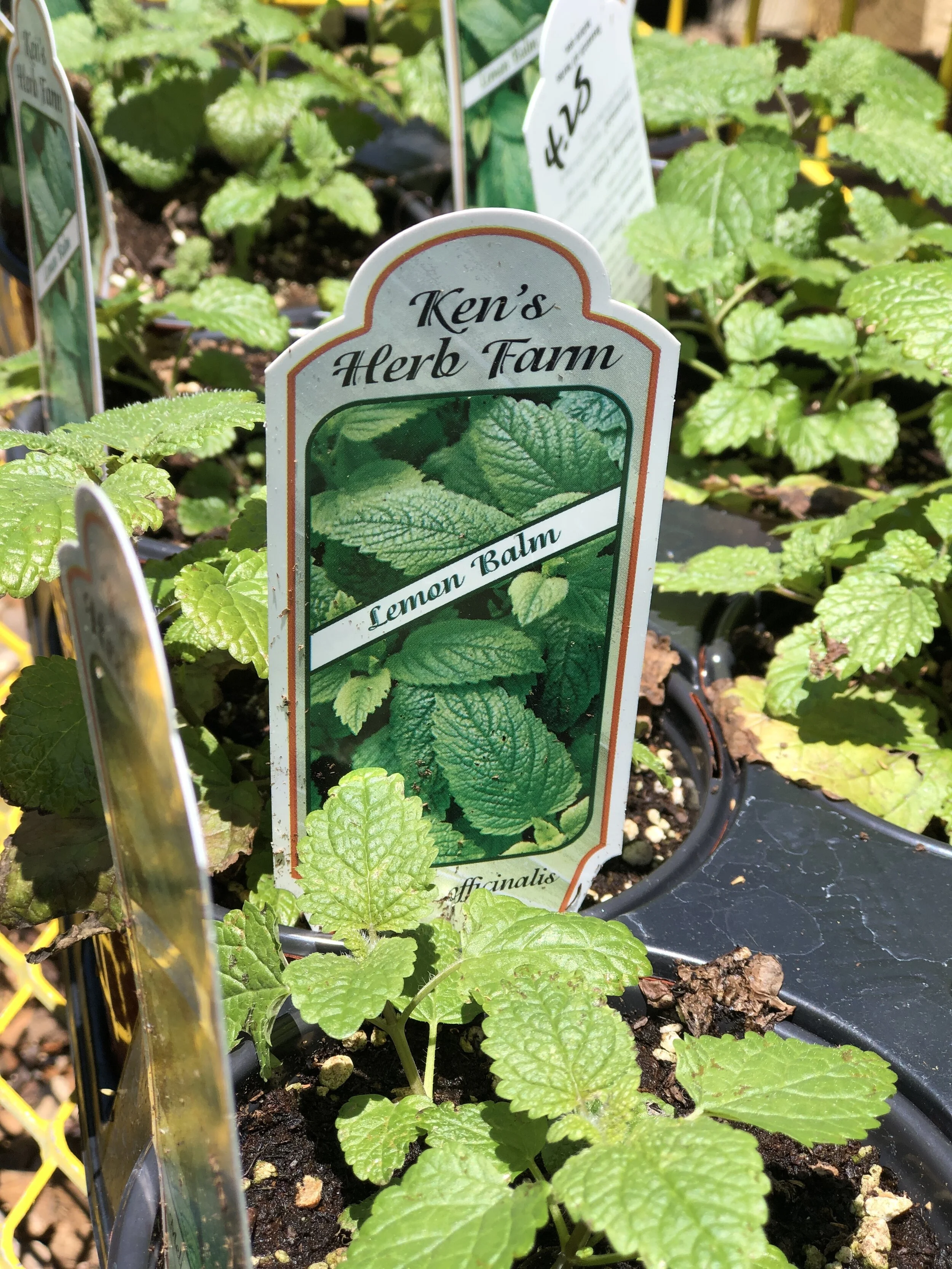 D371A64F-6C03-4308-BF49-021E0CB06471