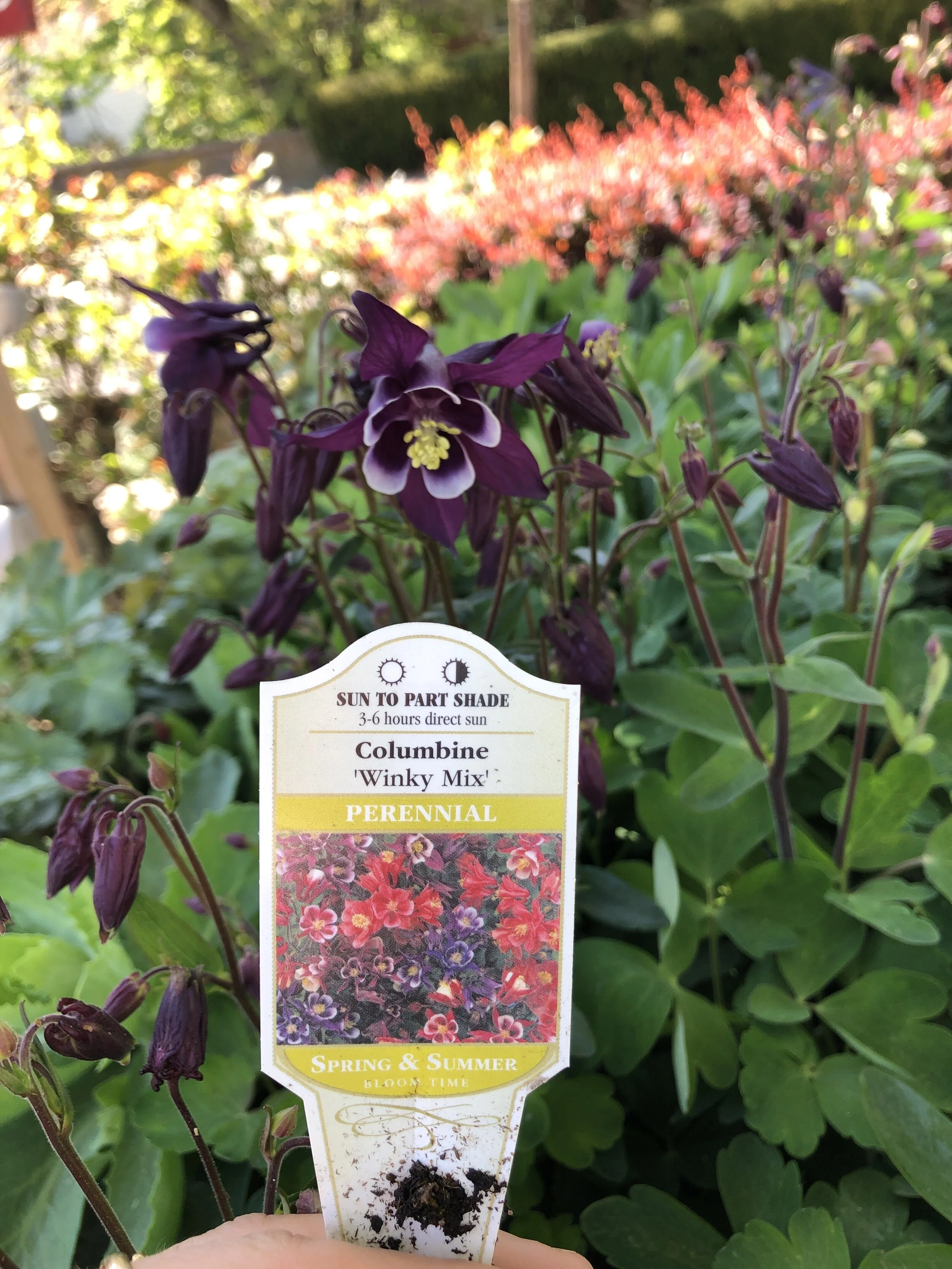 0841EF1D-212A-40A2-9B4F-F7CDADEB3791