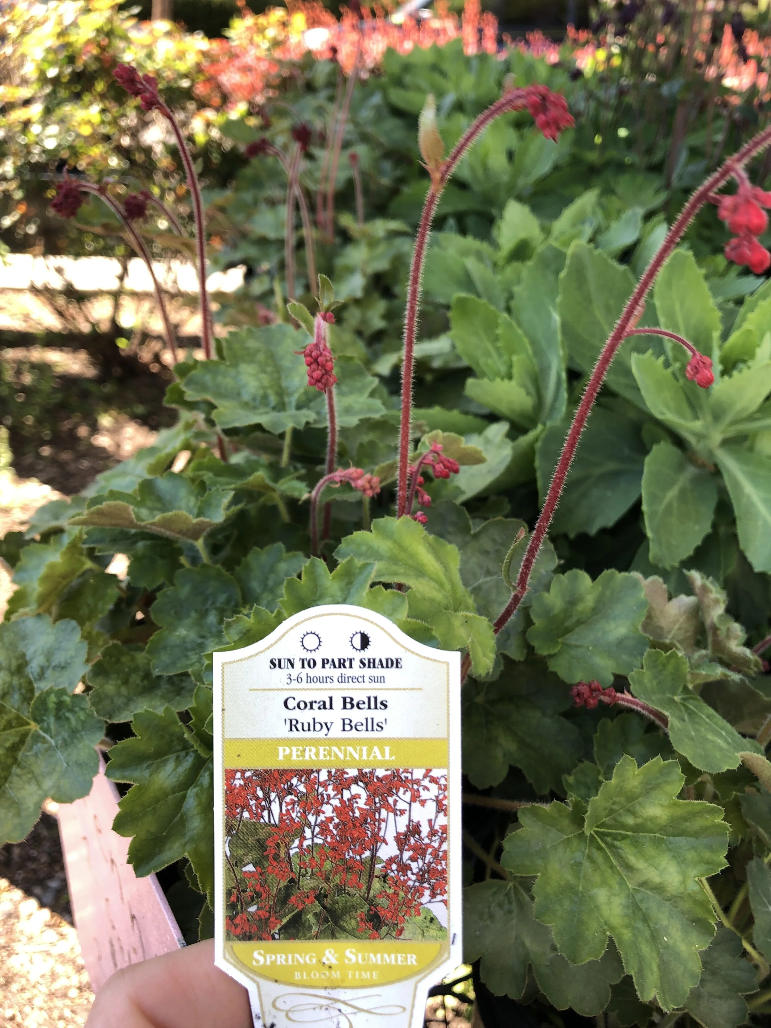 DD9EAF2F-36C1-41A7-BAA4-656A66EFDF70