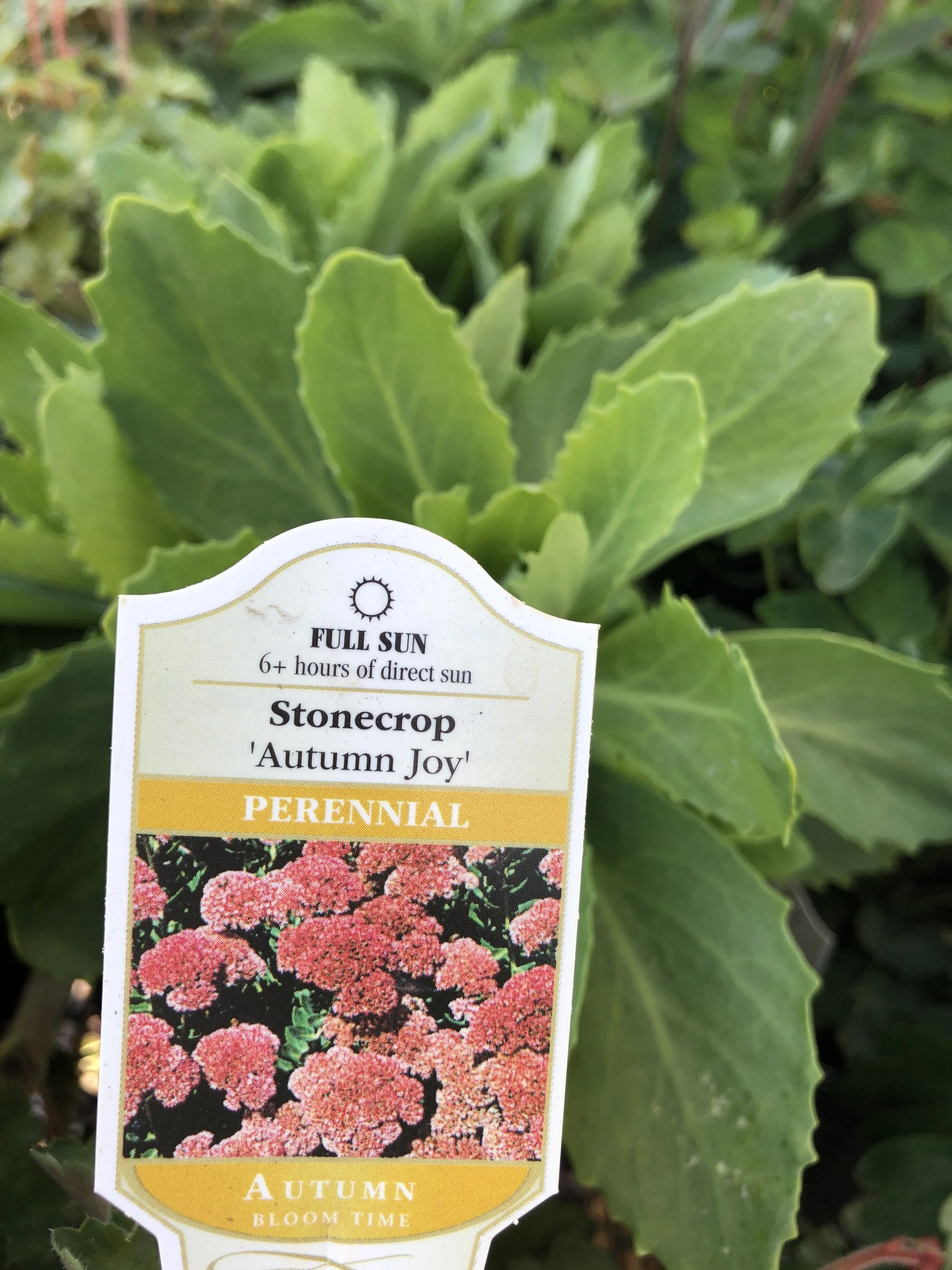 16A0D1F3-7BDB-4689-9562-BA7FCD3542BE