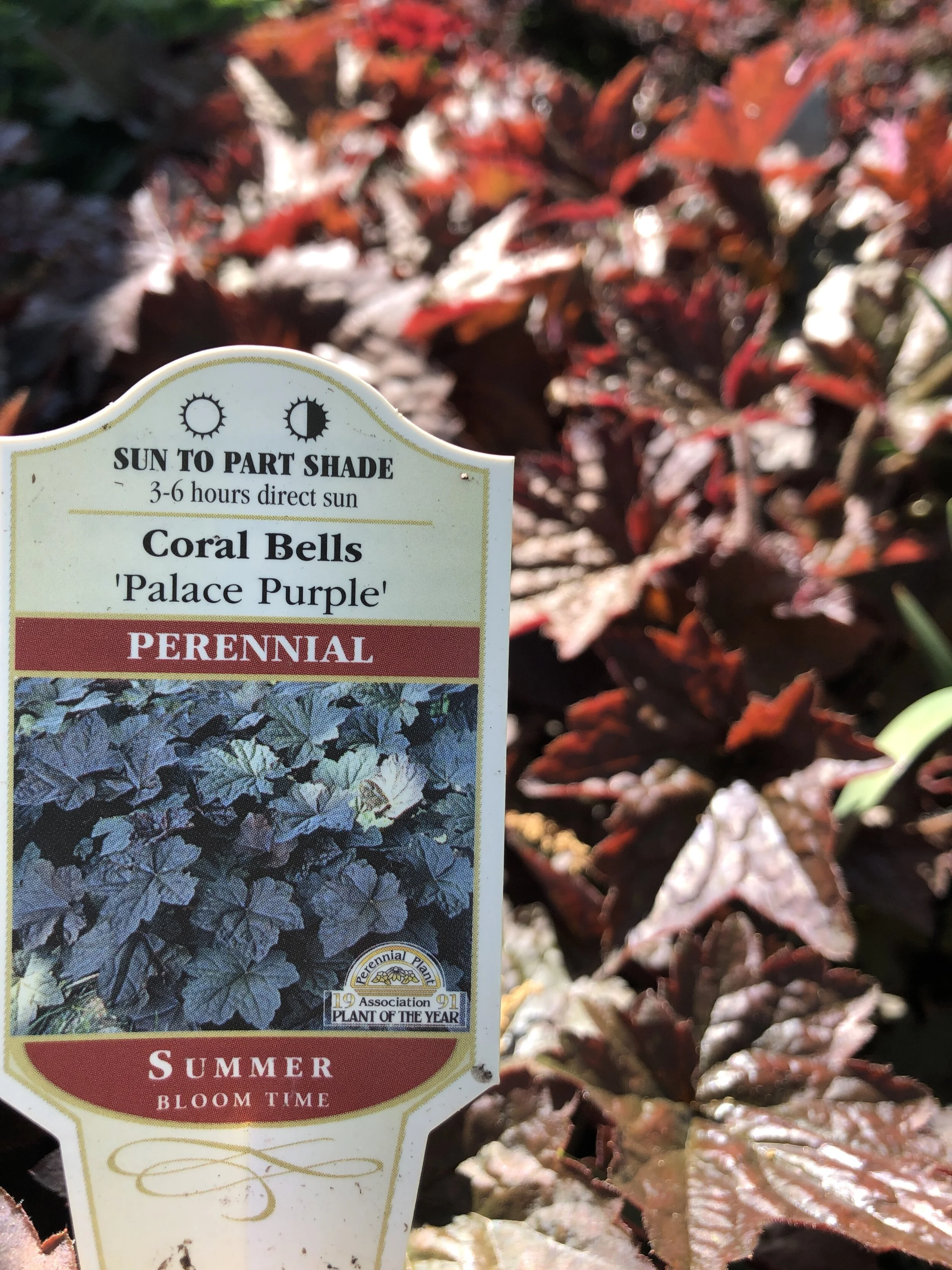 93074E9F-8A11-4B93-9636-1CF758C495CD