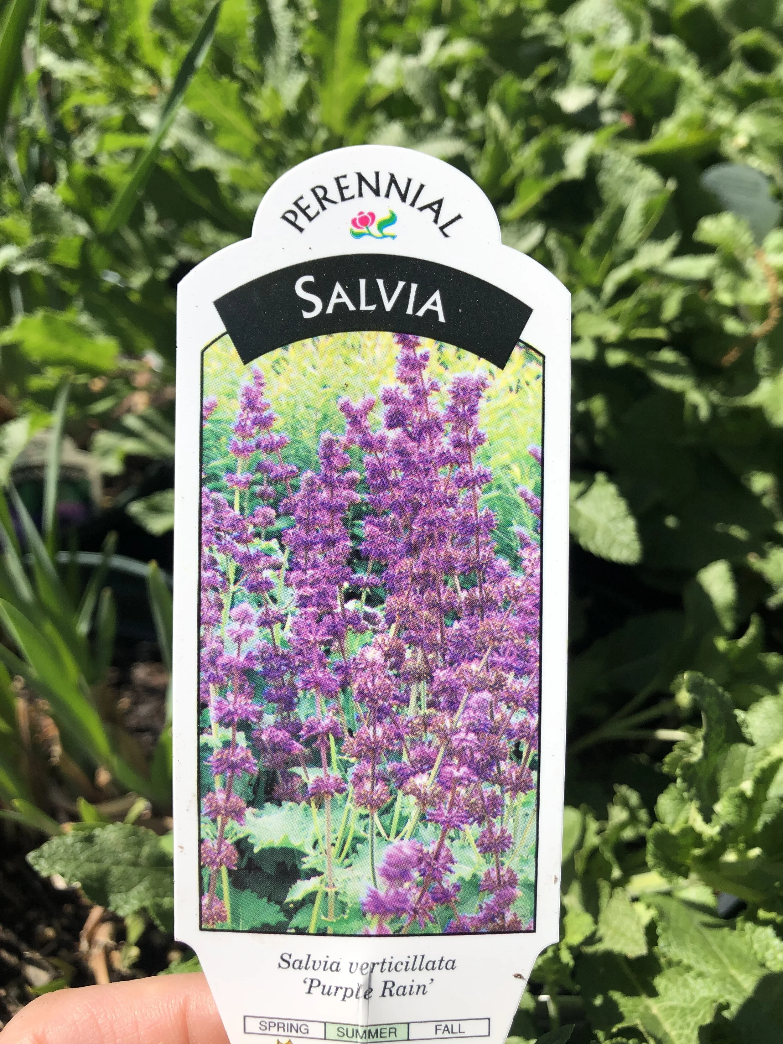 07B4A2E0-075E-4C61-89C3-7C76BA6A1673