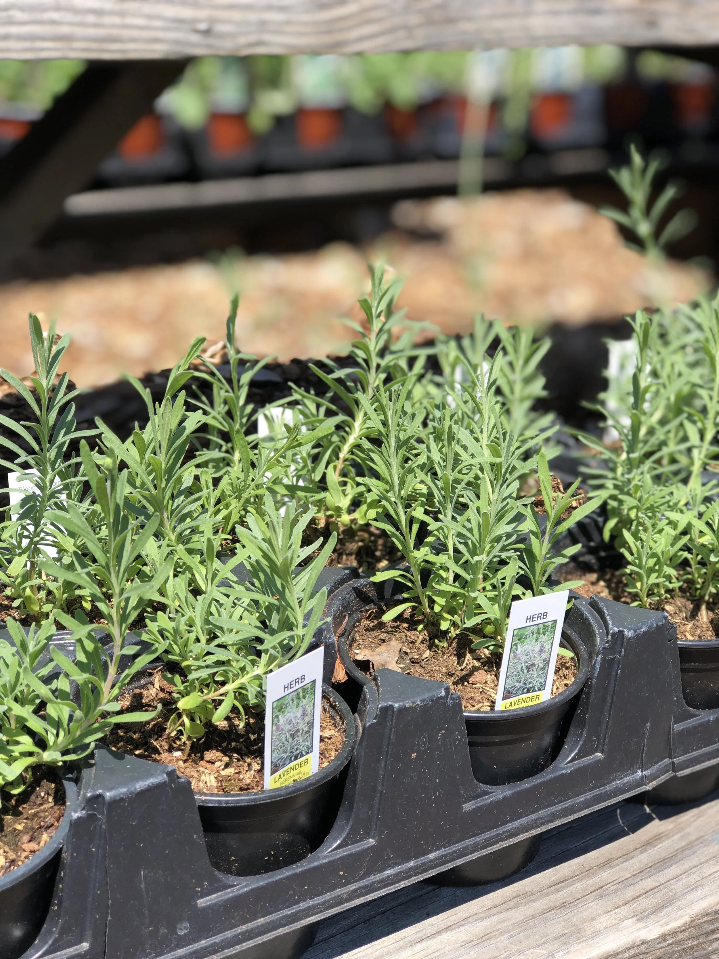 AE18624D-2252-4E62-AF8C-DECF01309840