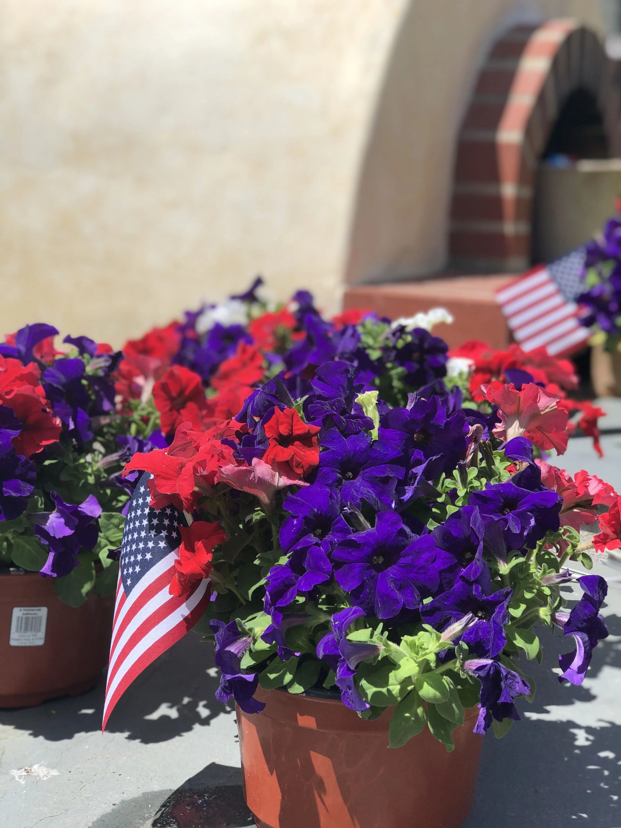 660D179E-D0D5-447C-A963-97A19AFA2BB2