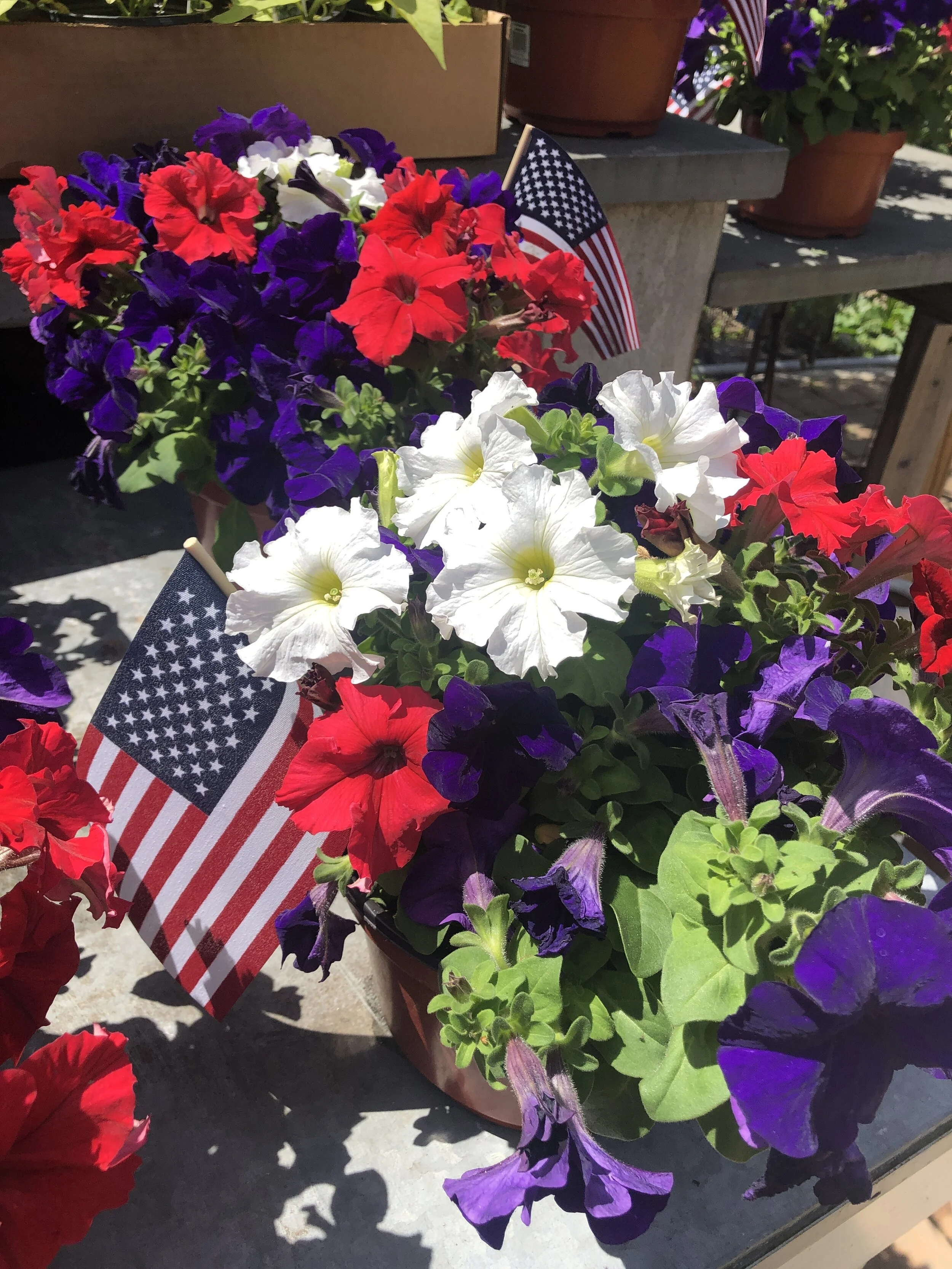 3458FB13-192D-4268-BB8A-15A40E668745