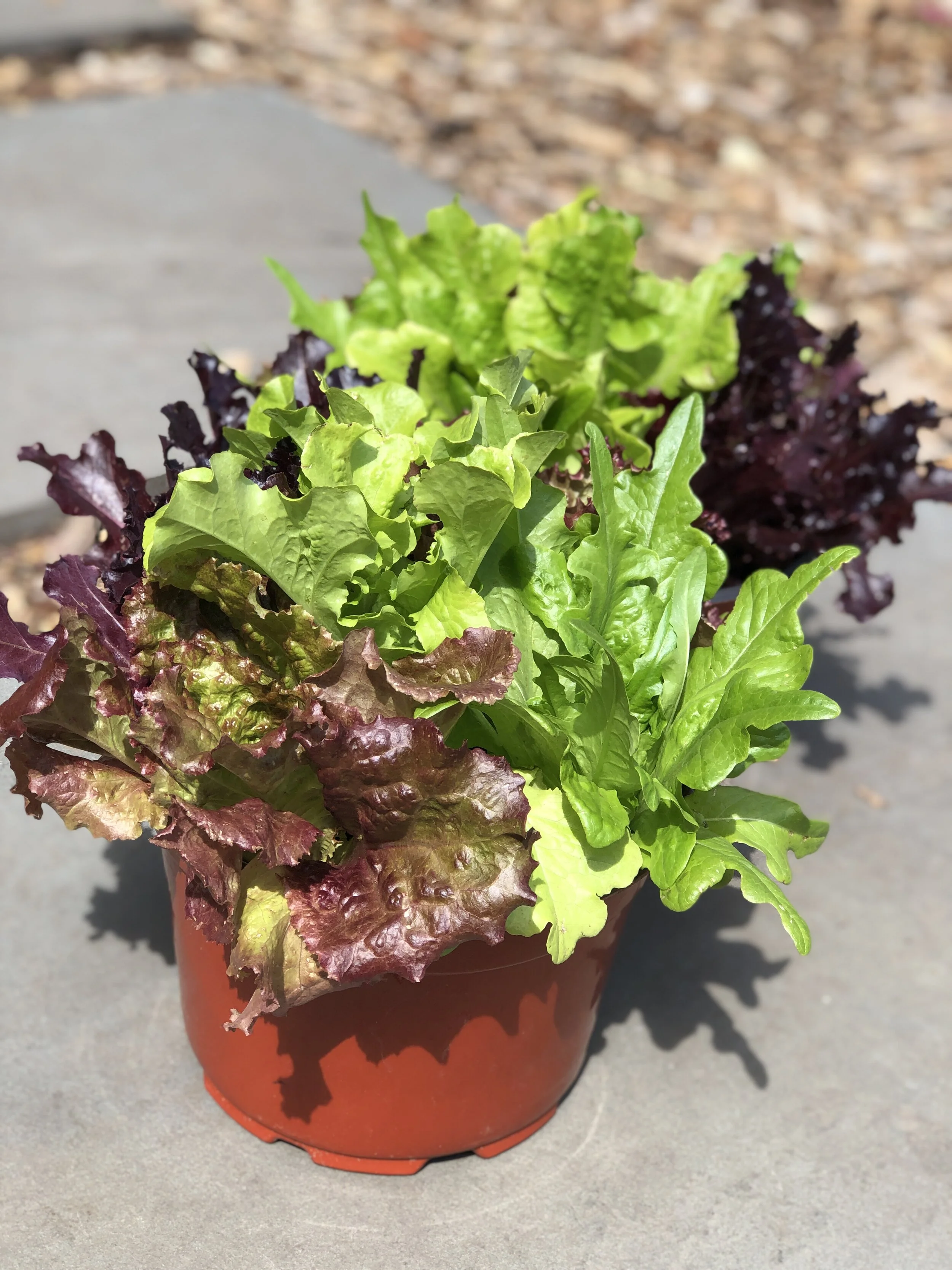 96F4B371-6642-4555-8F5C-CA96B5C8C007