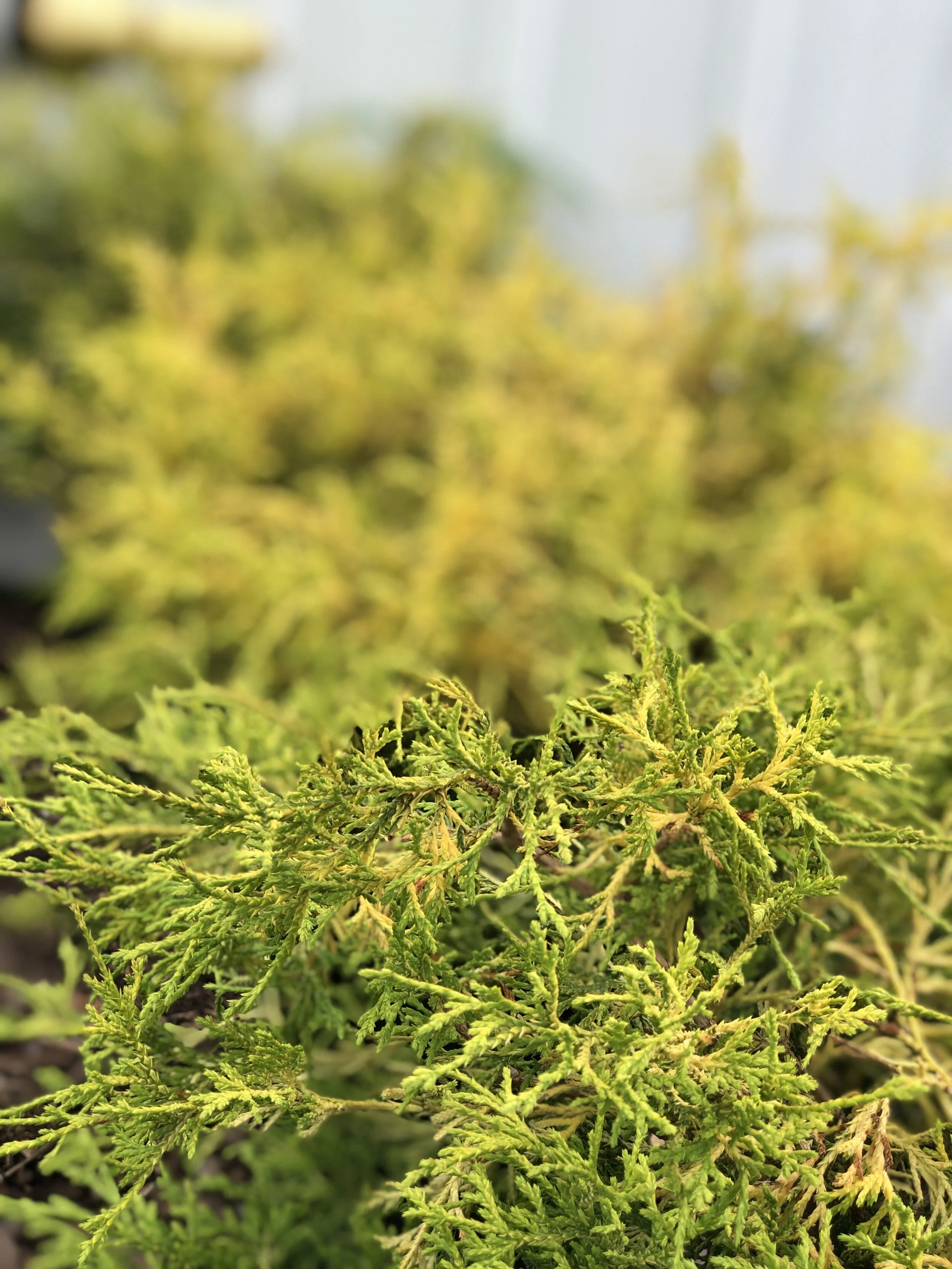 0AD571FE-5140-4D7F-B1BE-76428A17D624