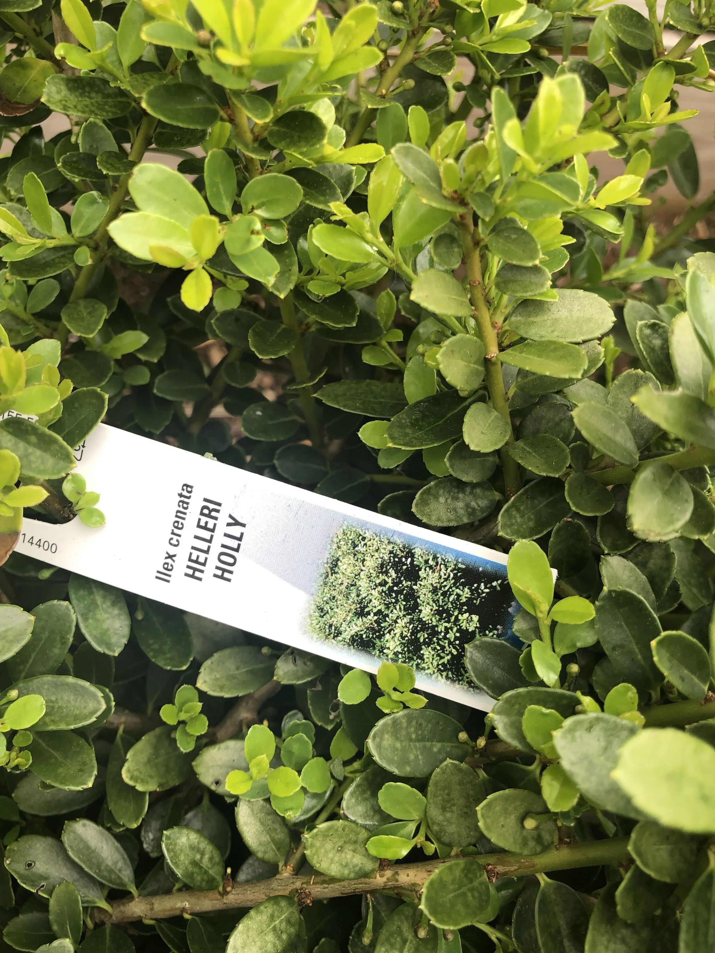 0466E25E-F047-4398-917E-B3F9B97564DA