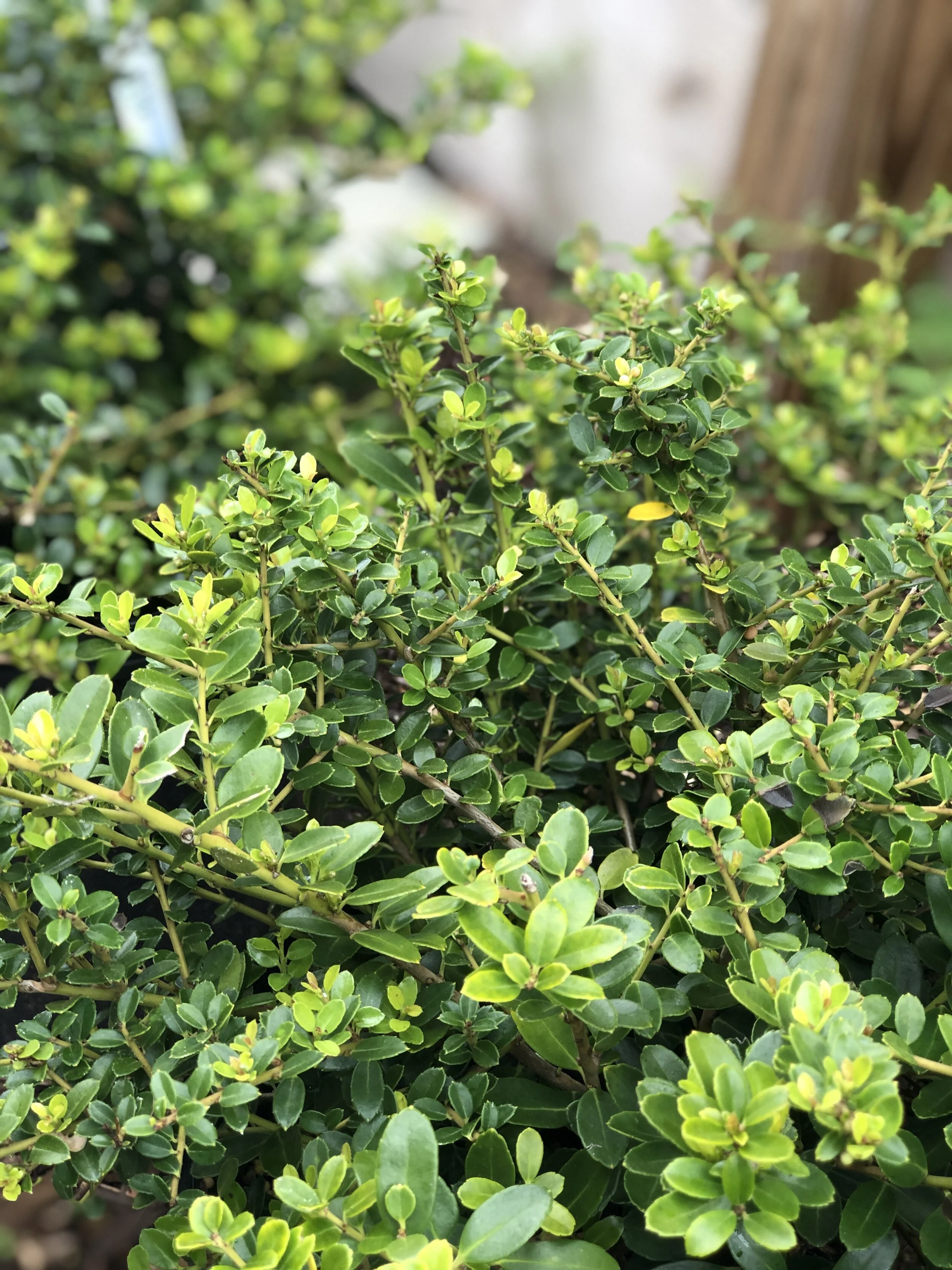 7C42F6B6-8312-41A3-AD2B-69933120F6AF