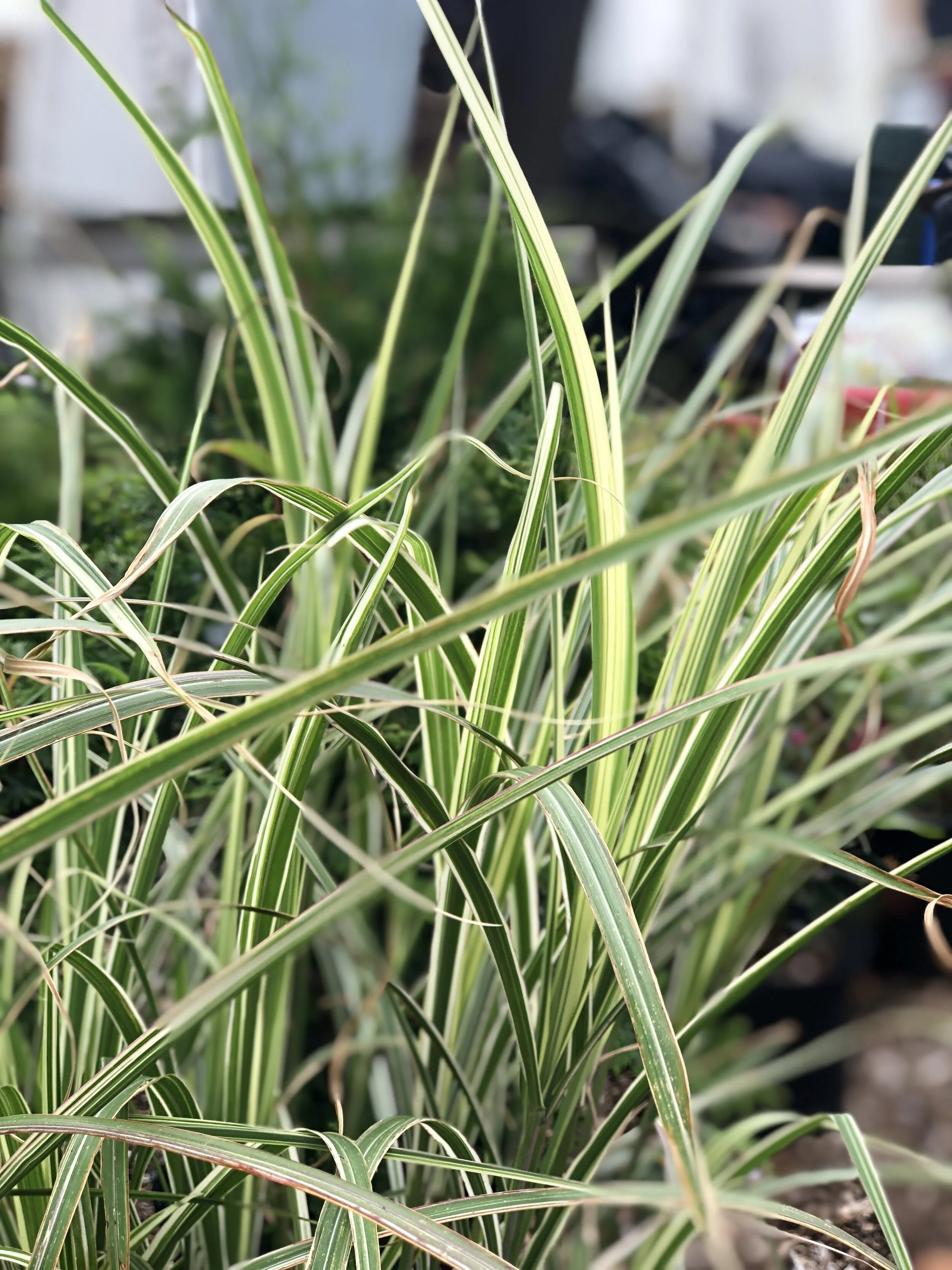 E09B6010-2A2D-4758-A9C4-90C1A0192FF8