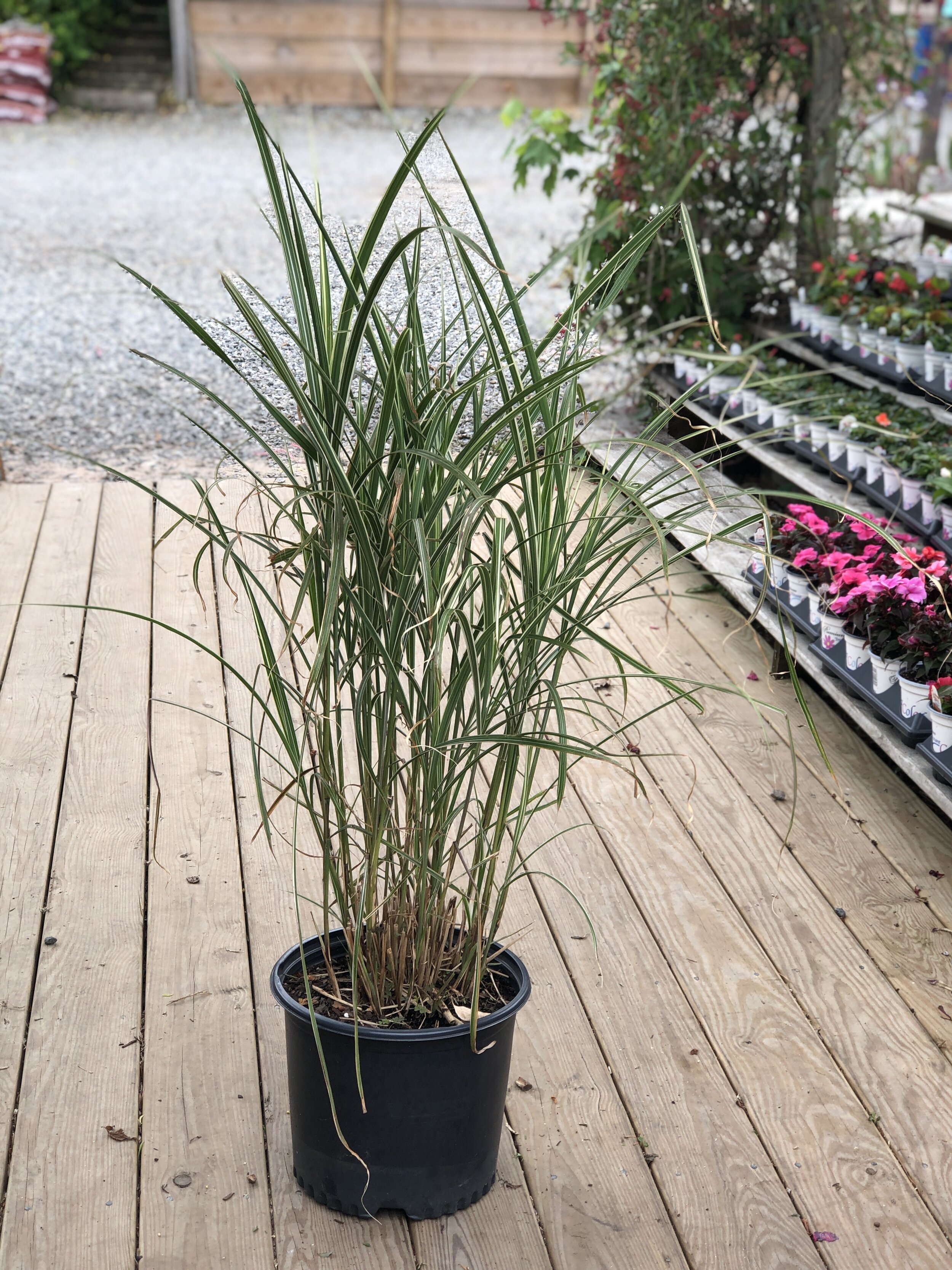 AF6E31D1-E647-448A-8F96-BED2850BF489