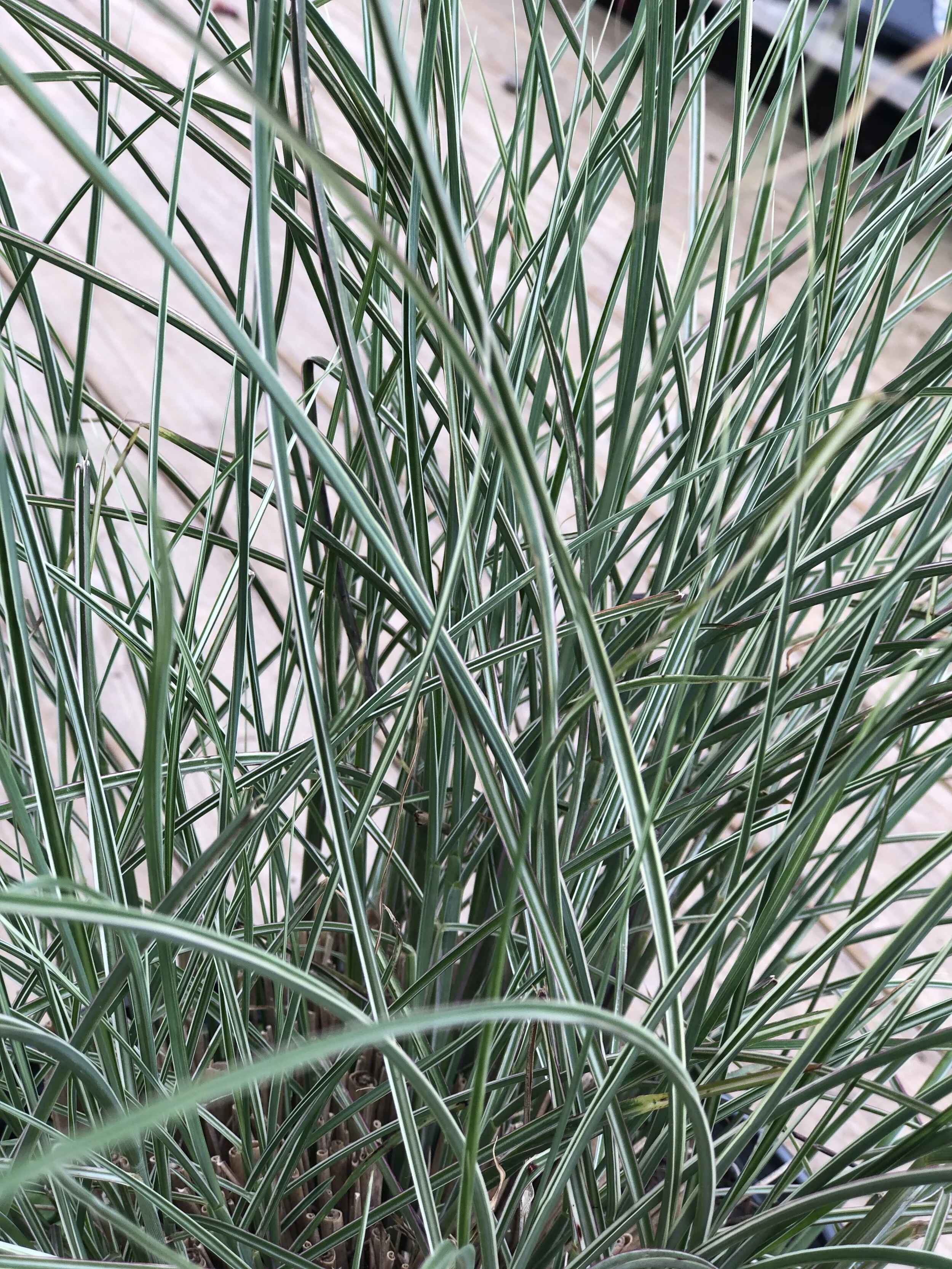 A8D4EE83-AE5F-4CEB-B6D2-014A0285DABD