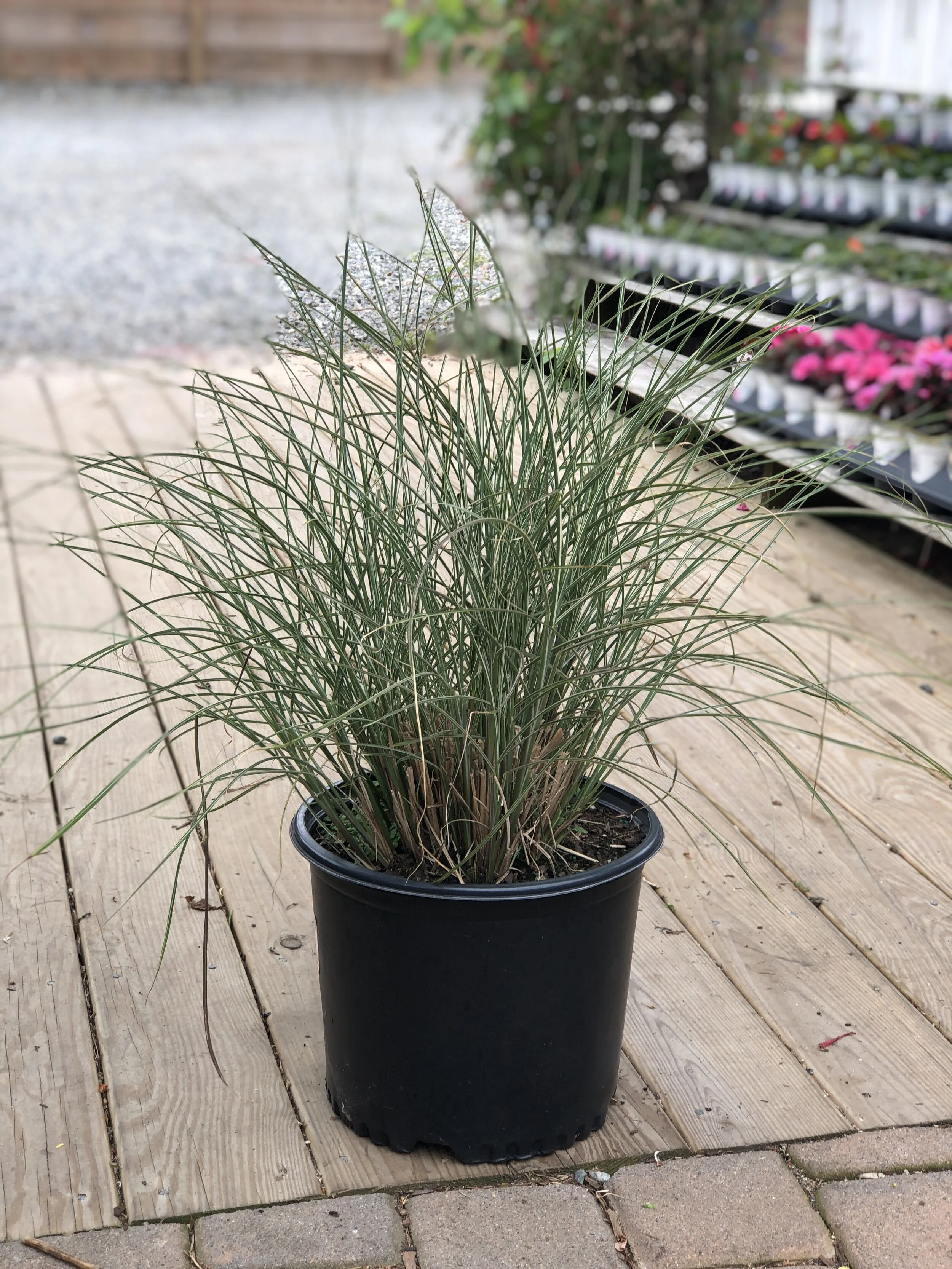 2D433213-69B2-405F-BC14-819E401DEED9