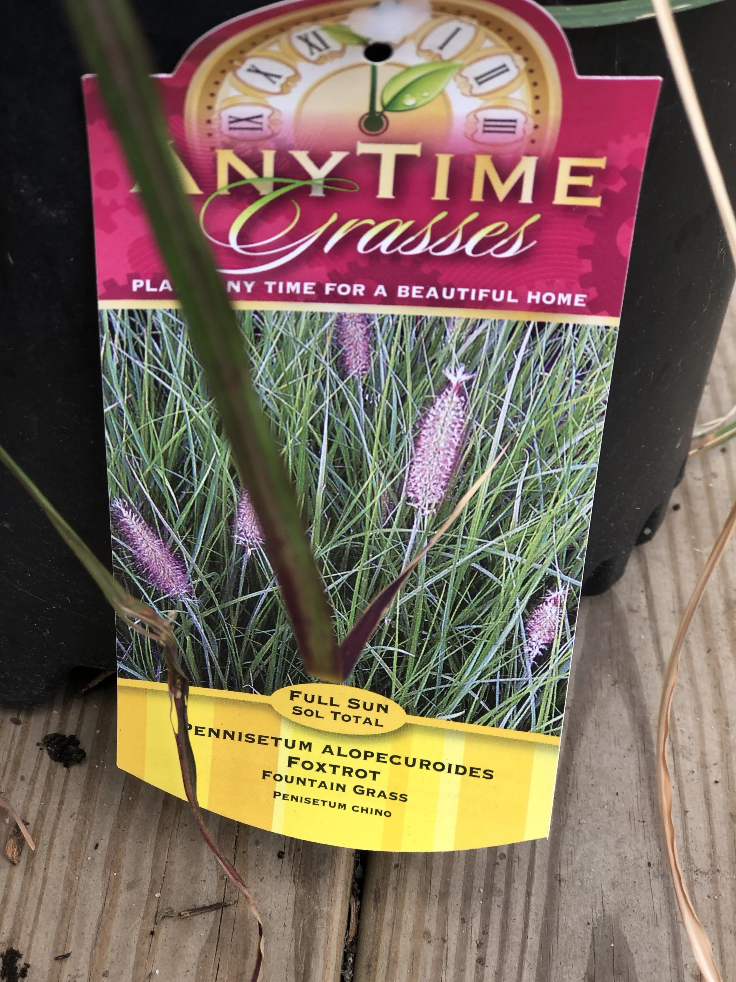 E30A8C2C-DCC0-41FA-B0E8-053936FD278D