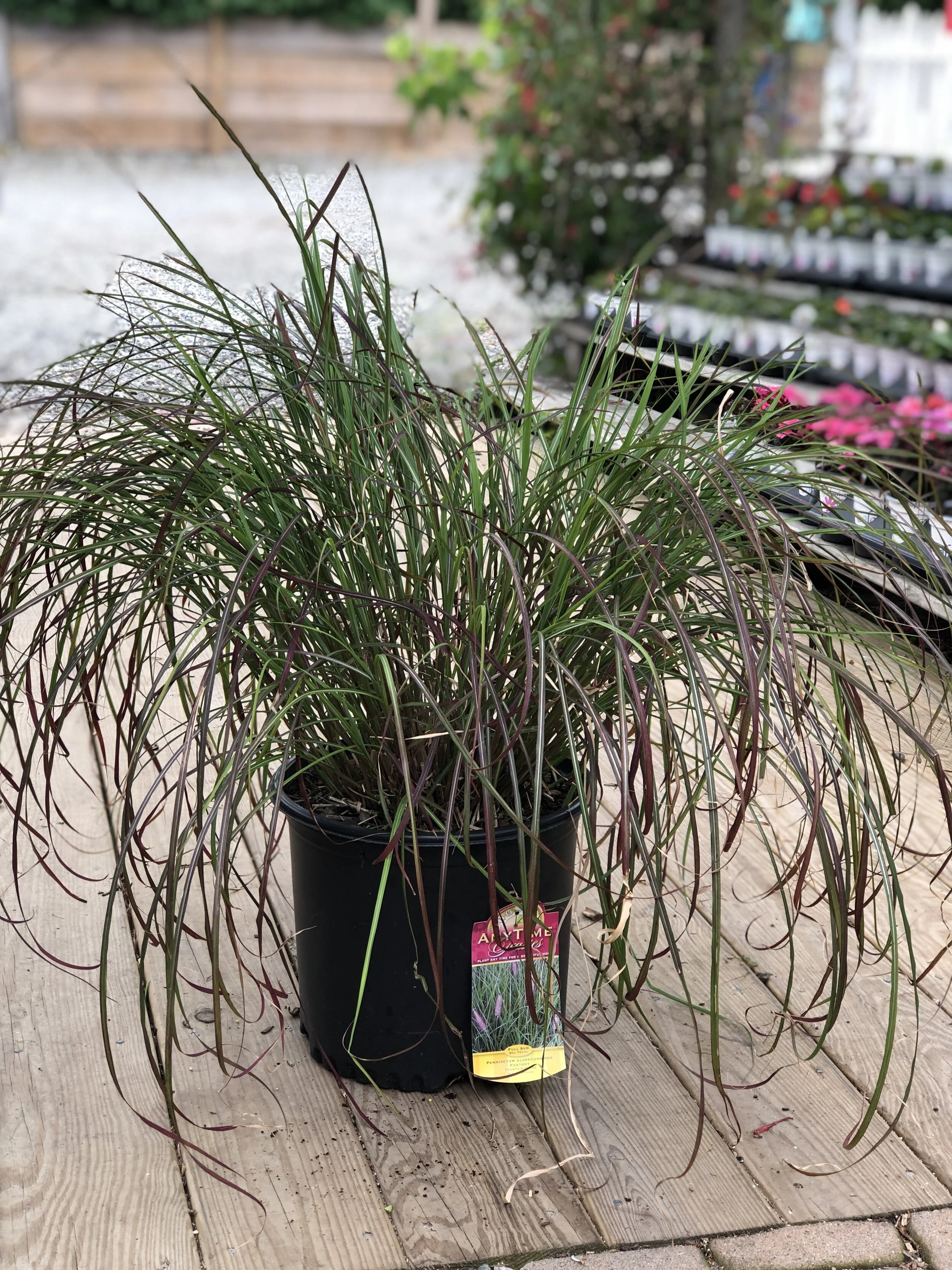 28290443-ED40-49C4-B3E4-D74E970C8EFB