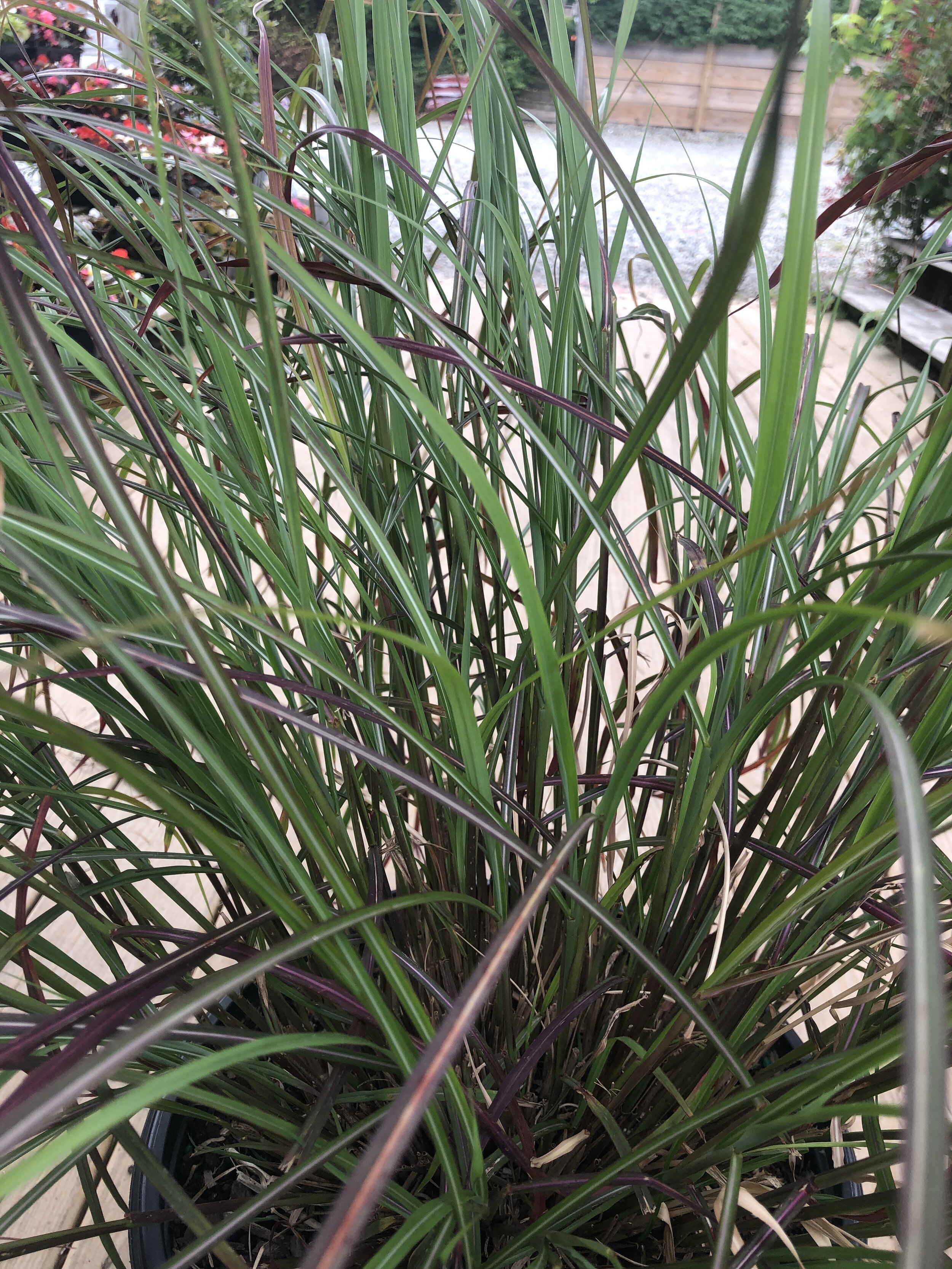 D3914204-F7F6-47FE-B61A-E1447AE8CBE2