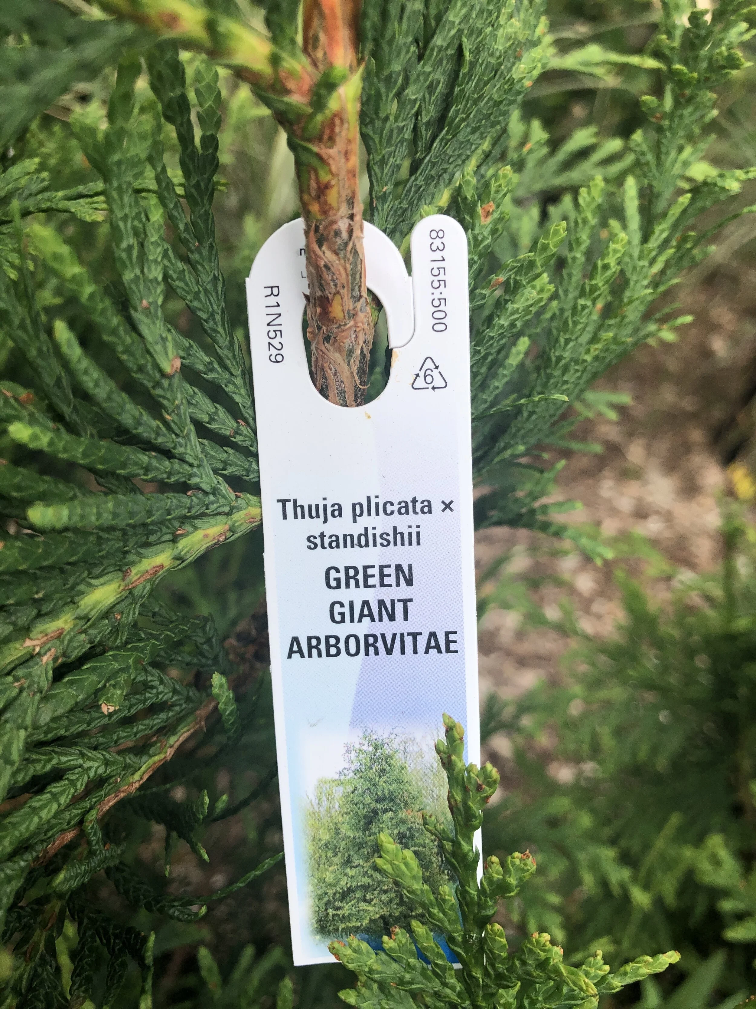 DAD30819-2B37-4CD7-816D-E8F680675637