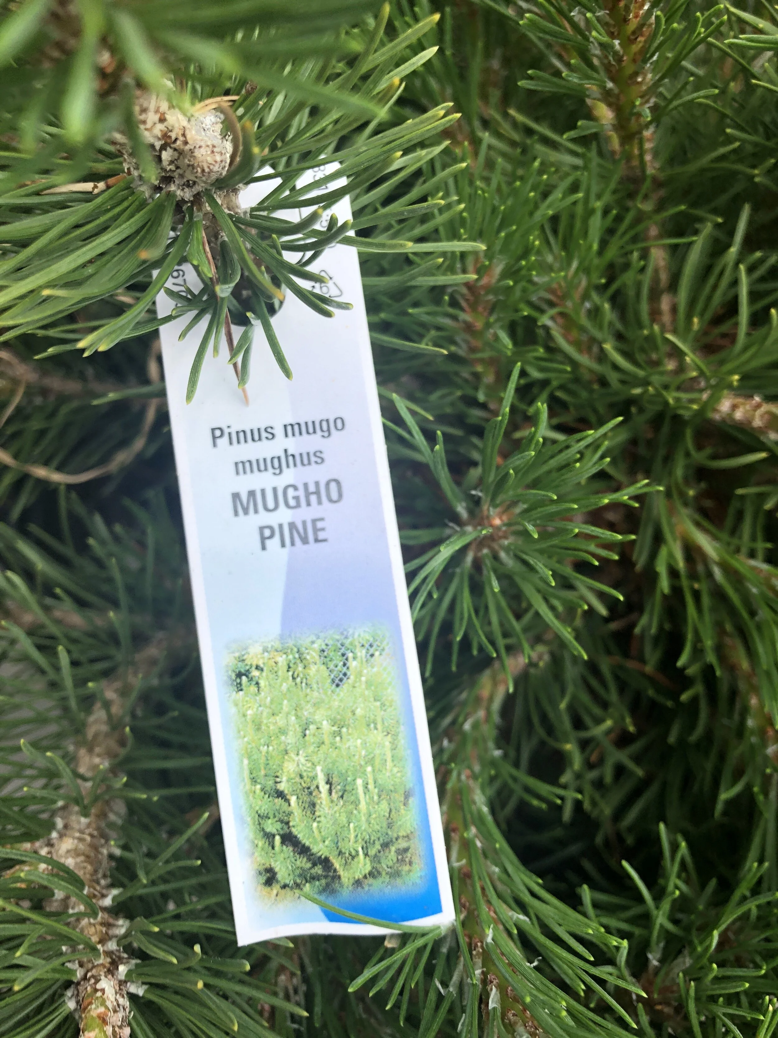 600341EB-2DF6-406C-8BD8-4A3D3746AD5F