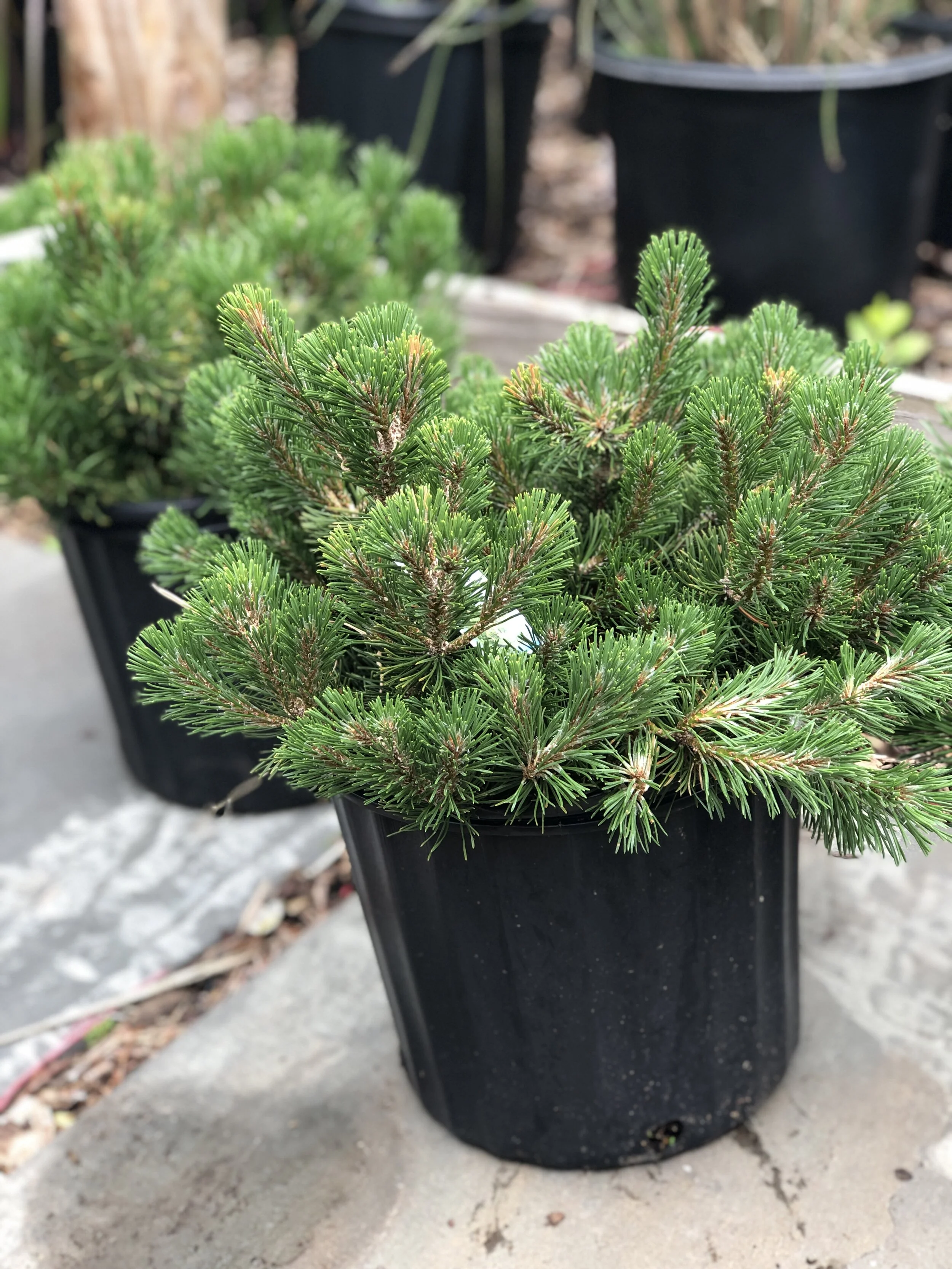 52D95037-BD1F-499A-94AE-102781399574