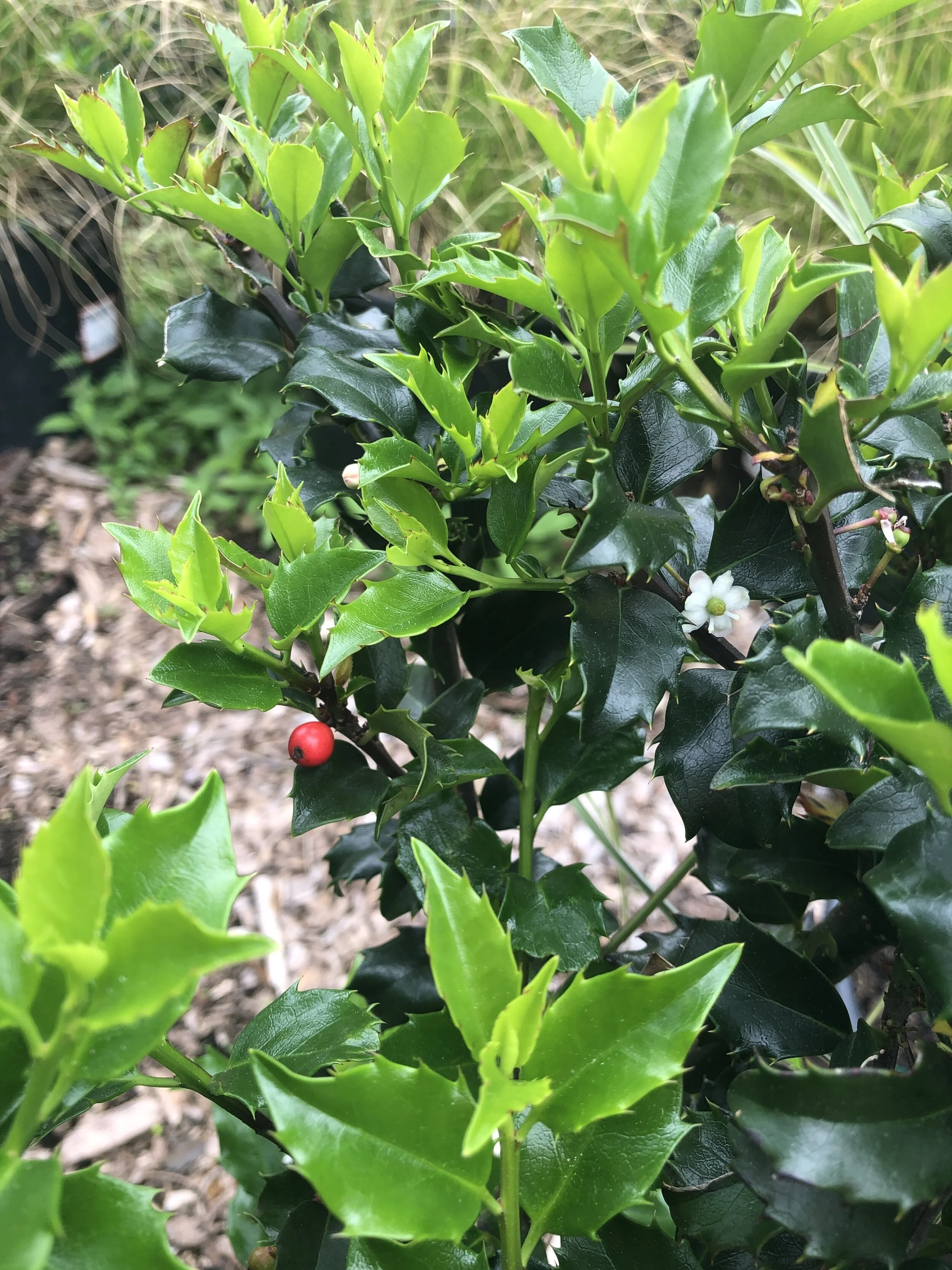 5B585697-B077-41F7-87D9-290B0E9209B3