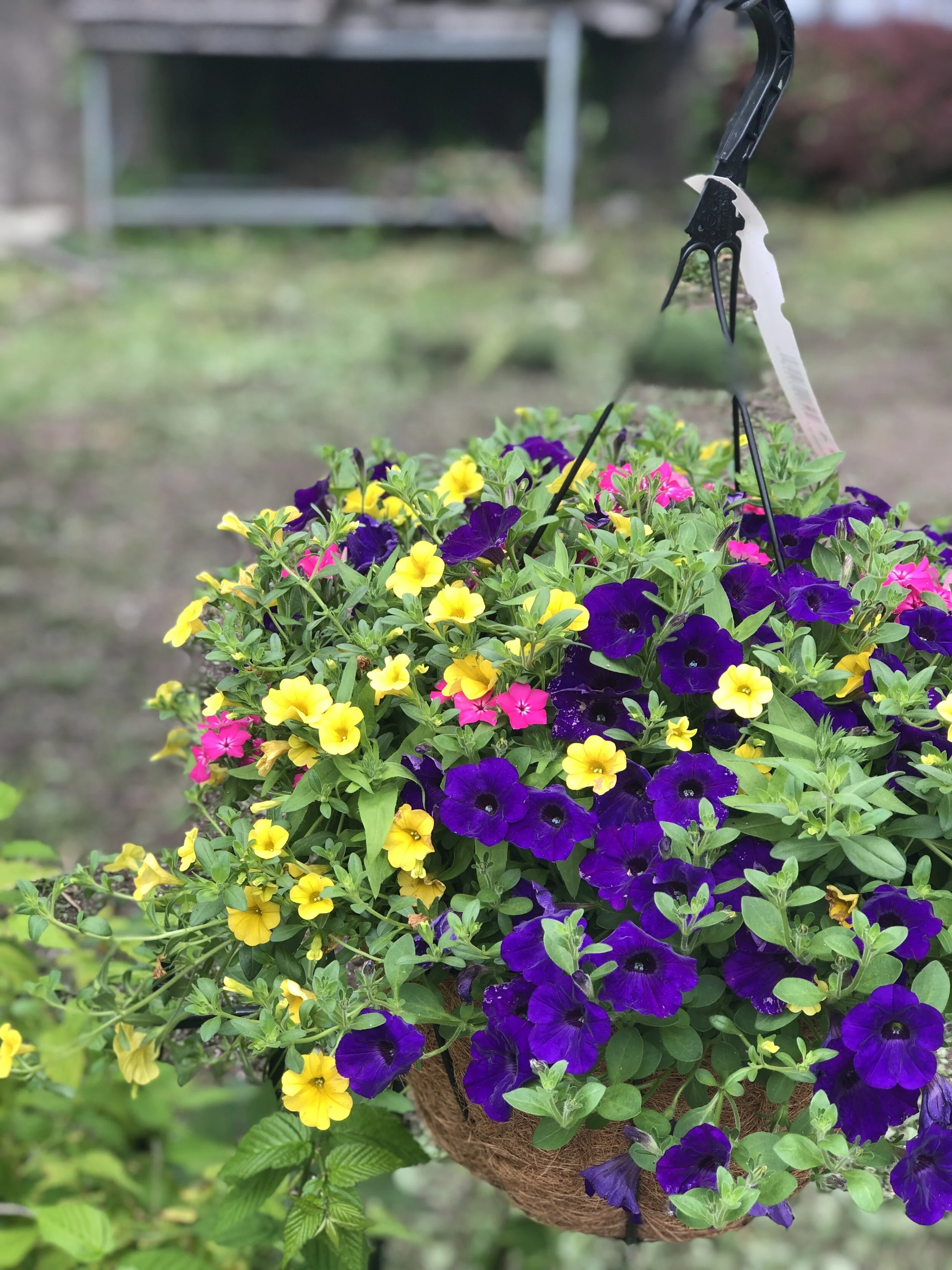 28DCA9DC-1608-45C7-A2F0-5253F67F0494