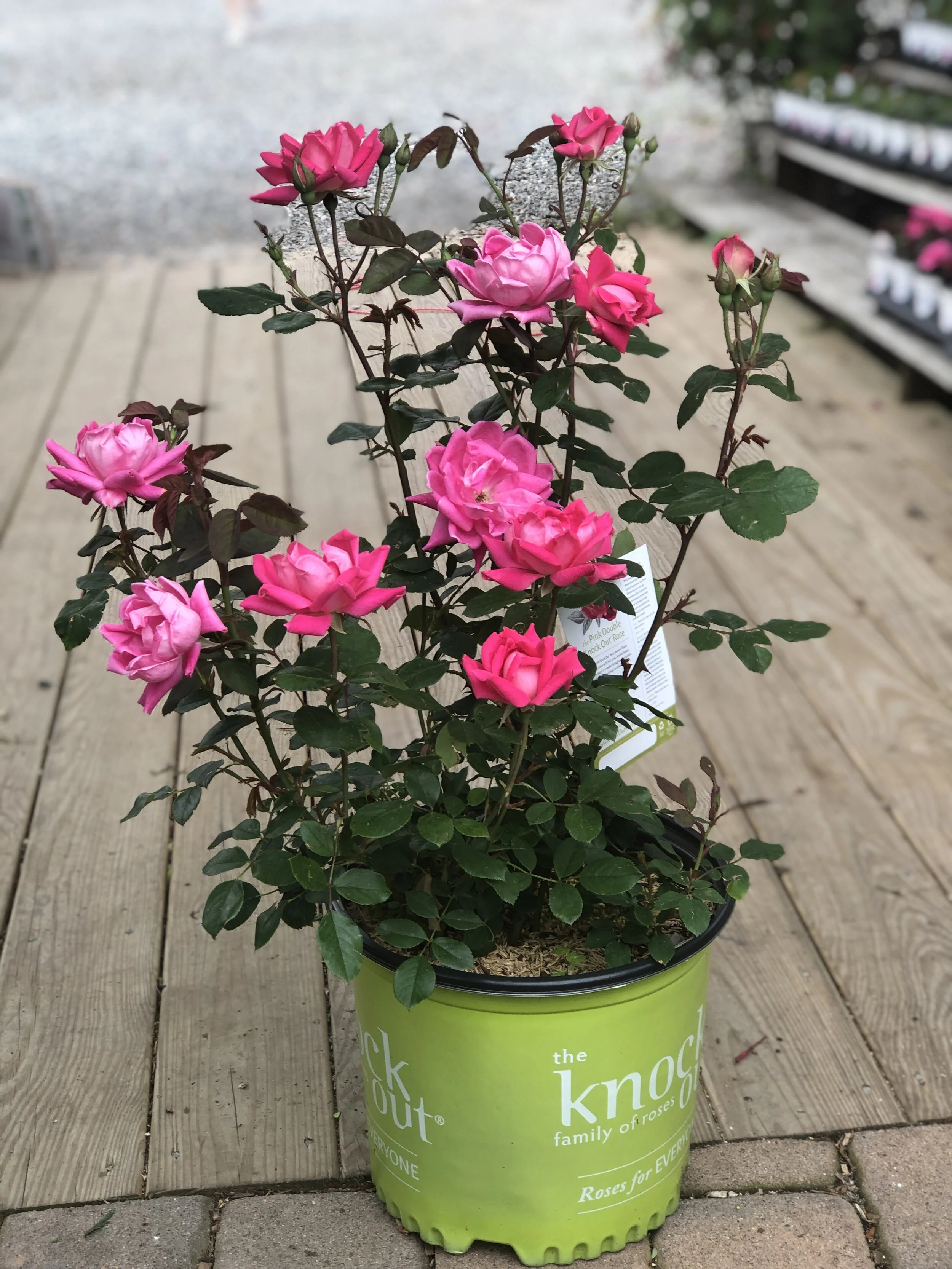 FBEB49AD-3B3F-4050-8023-DE1A8CB6AE59