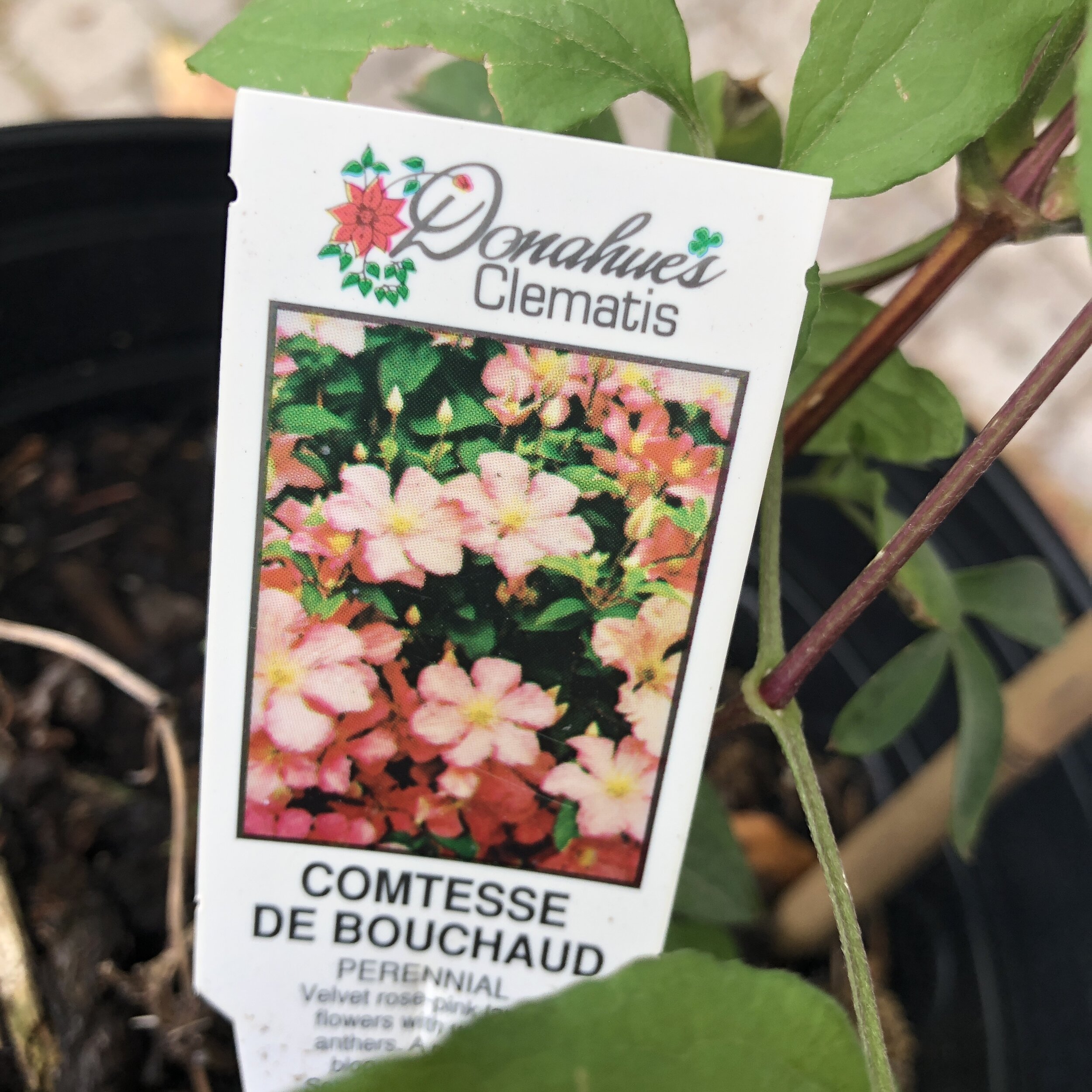 E3FACAC6-89C7-4F94-8934-A3214B8B00E2