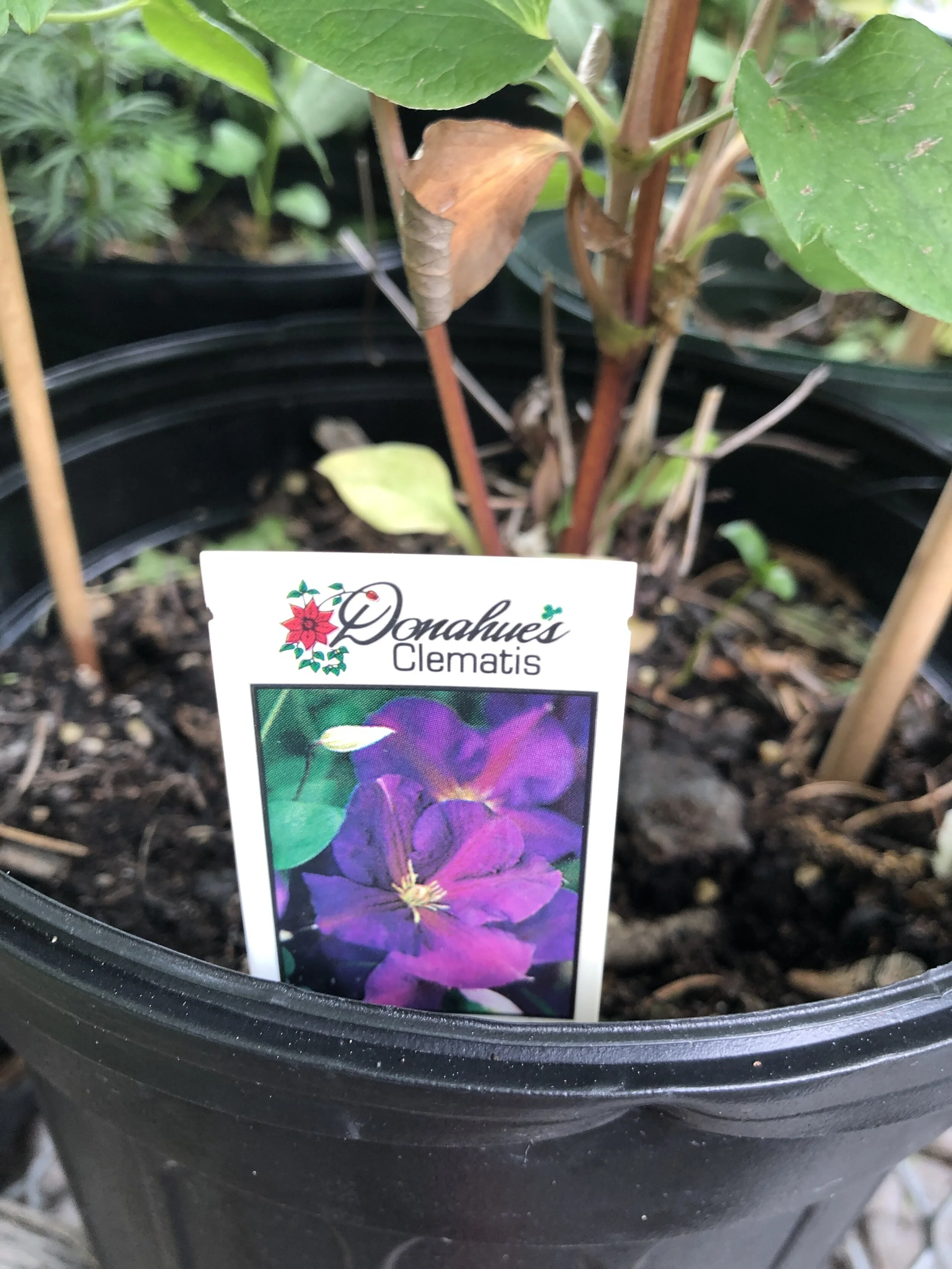 83009DDD-8C6B-4221-B06F-EE4F2C88DFA7