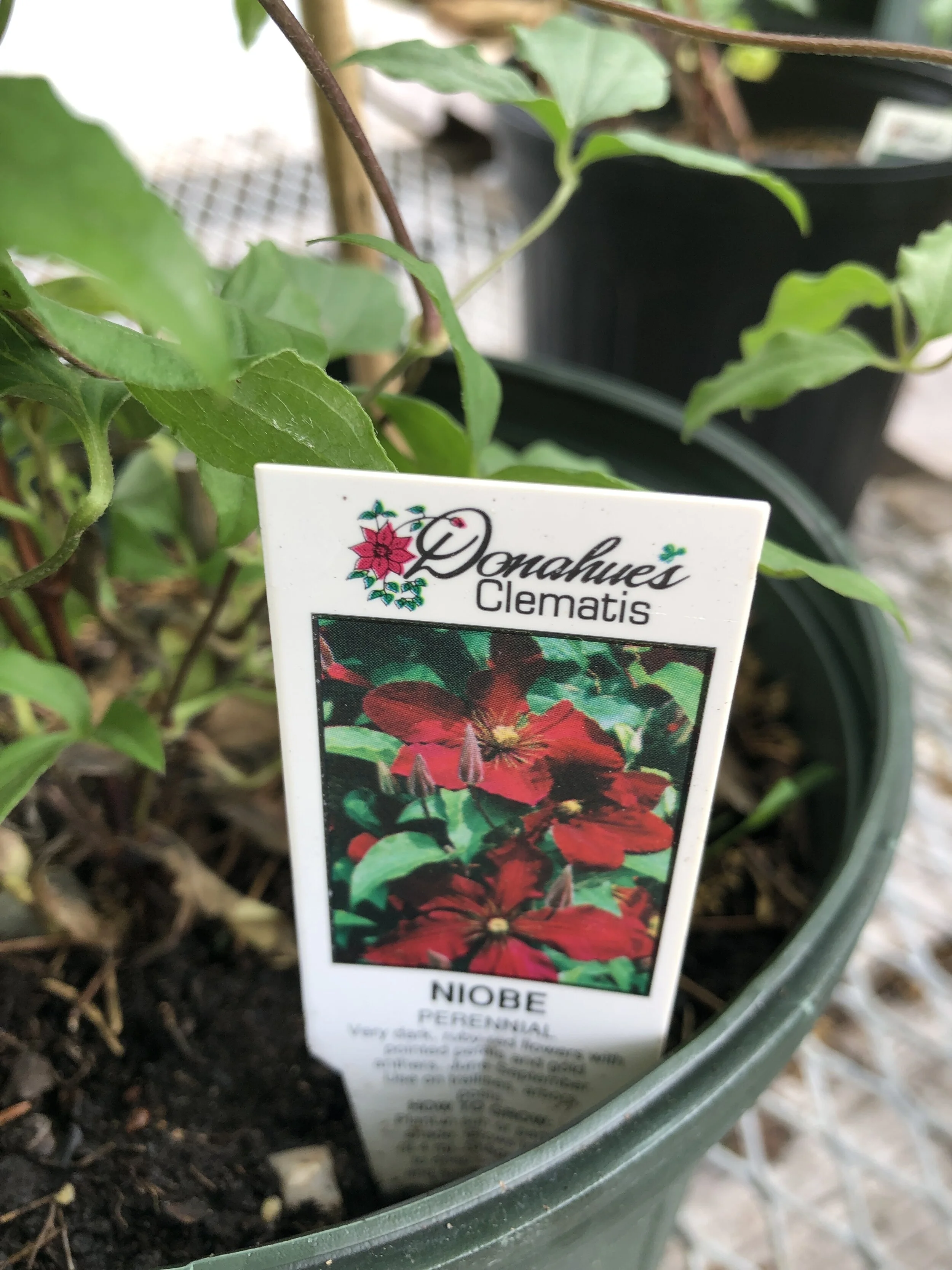 57B52E24-BC67-41E1-9F9D-B732B72D564D