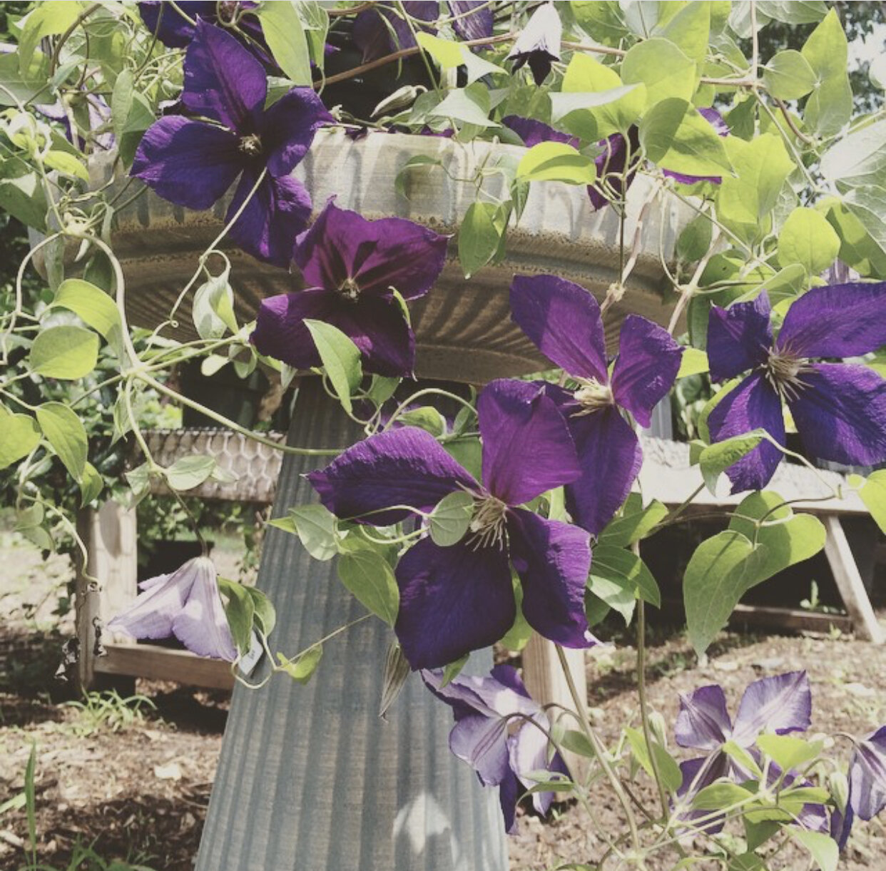 26C26FFF-D646-447E-BD5D-D7568D4A390A