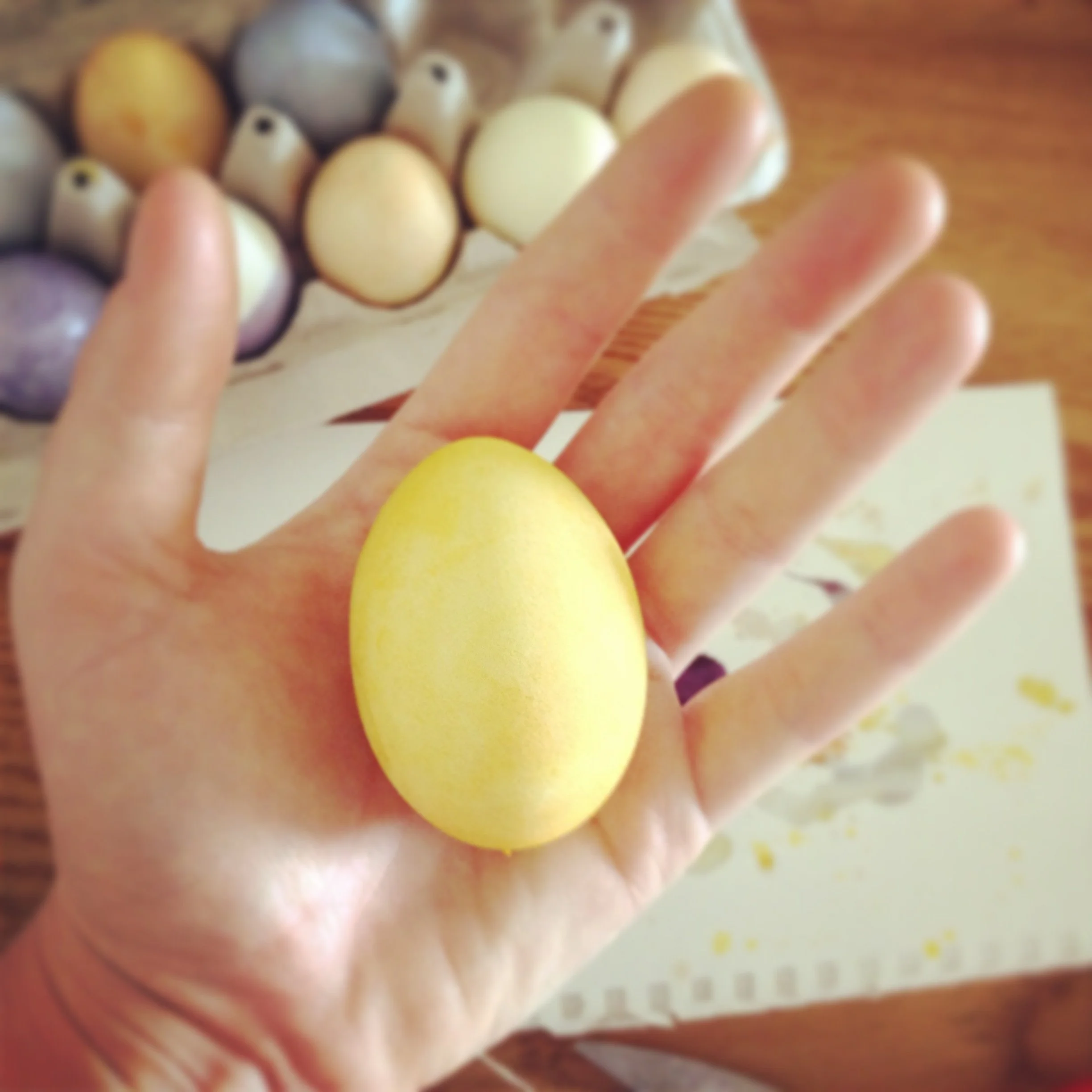 Yellow Egg.JPG