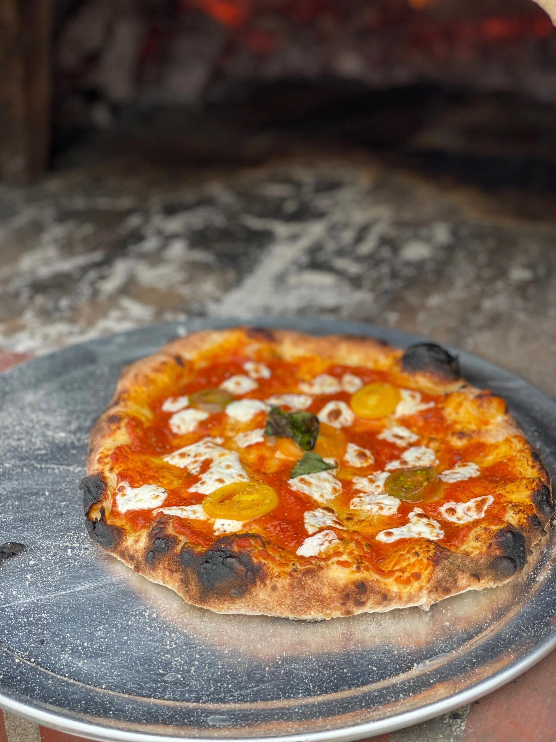 F9C8528E-6274-428A-96DD-AA00ED555419