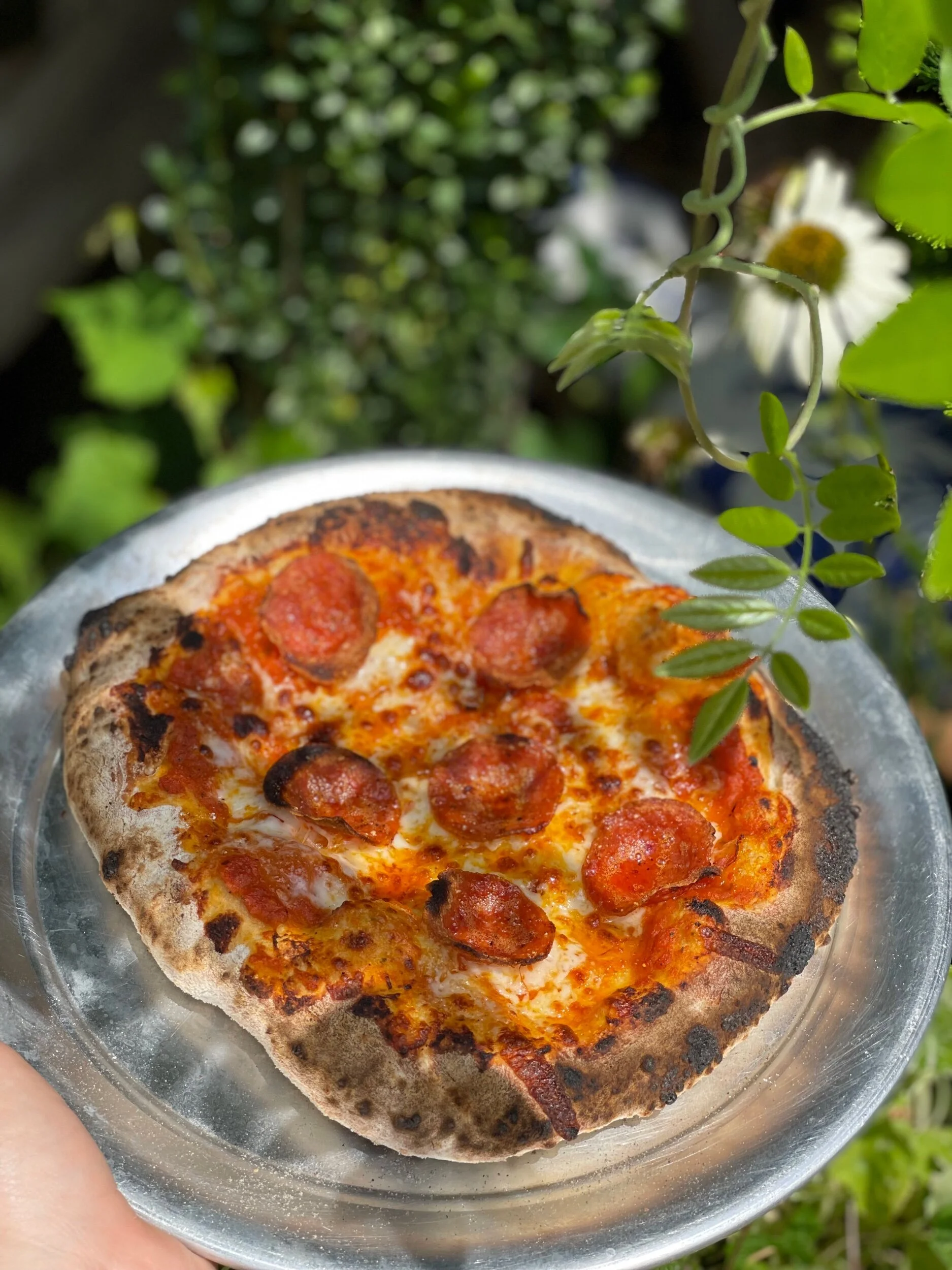 942EE693-C74E-4032-B5E7-20E0C09BC7EF