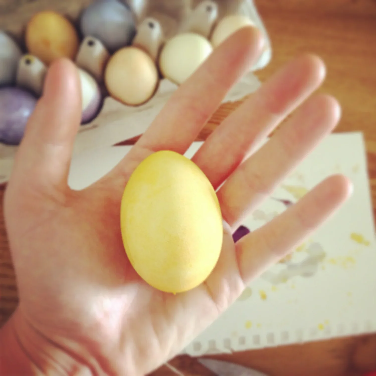 Easter Egg Dyeing on the Farm 