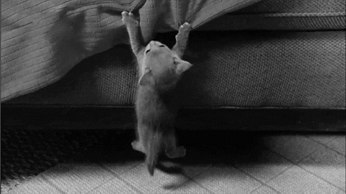 1374211832-00.gif