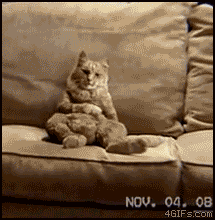 azbVL1b_460sa.gif