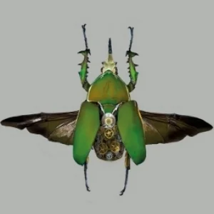 Green Noise (300x266).jpg