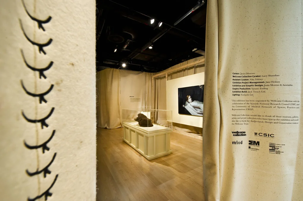 Skin_wellcome_Colection_04.jpg