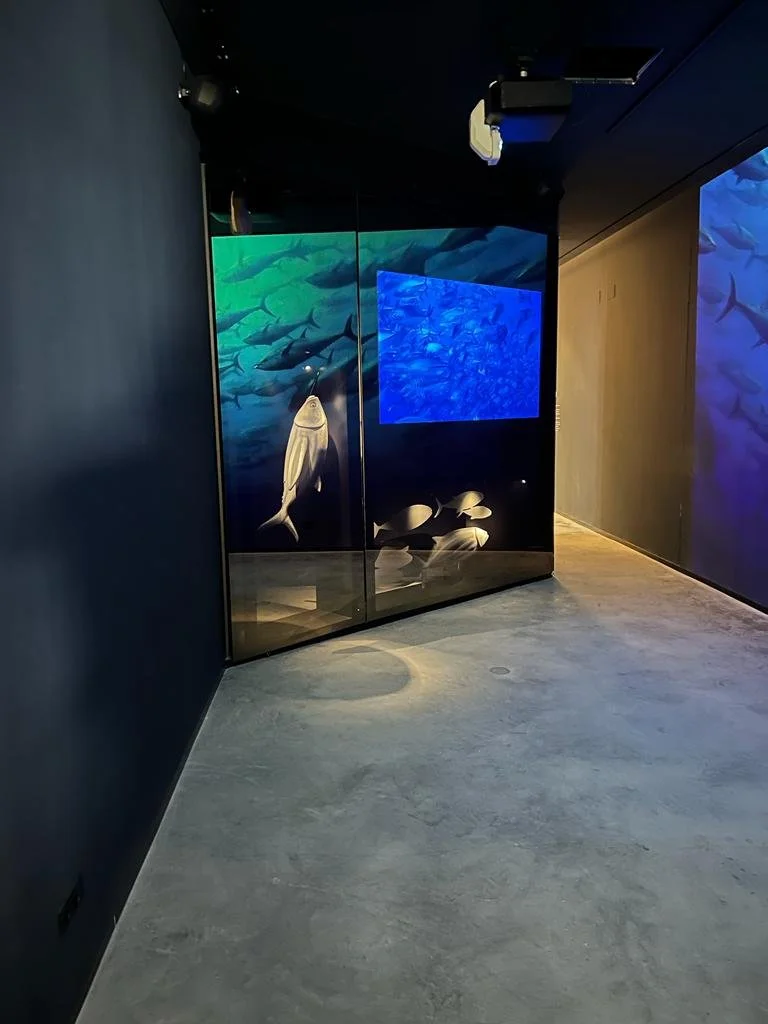 WhatsApp Image 2023-05-05 at 14.04.15 (1).jpeg