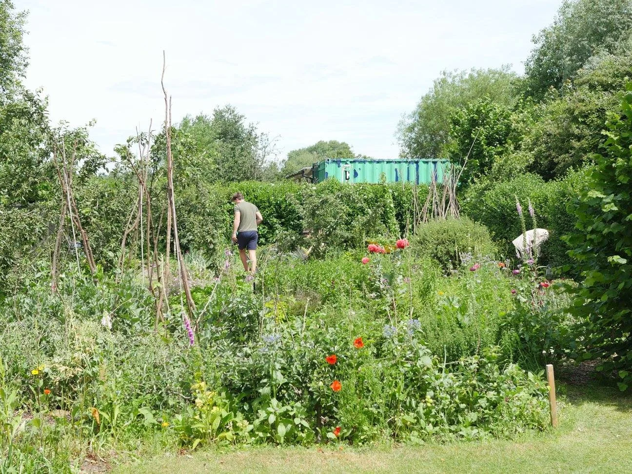 Social: Whitemoor Allotment