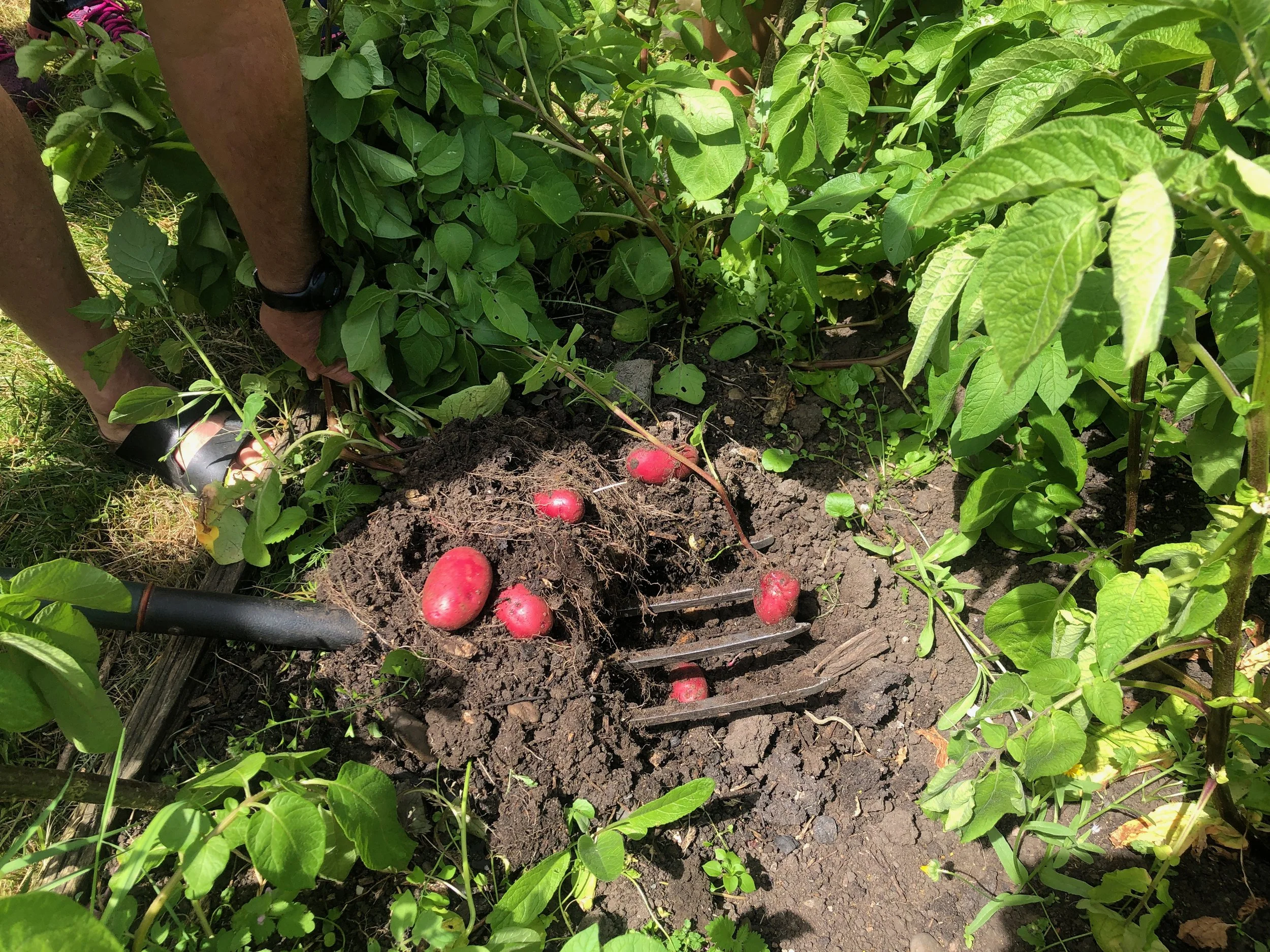 Wednesday Evening Meeting and Talk (January) 