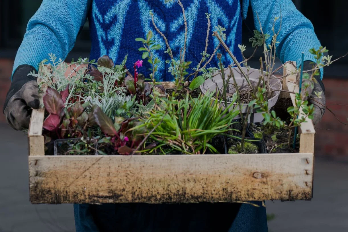 TALK - Green City, Green Teens: Getting the next generation gardening