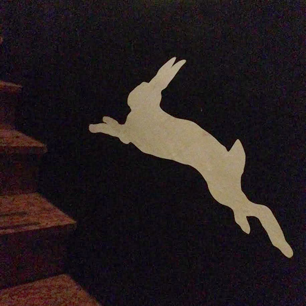Follow the white rabbit up the steps to the upstairs shop at Zoo.