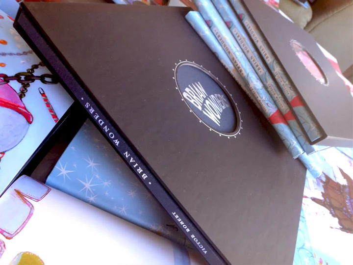 The Brian Wonders Storybook