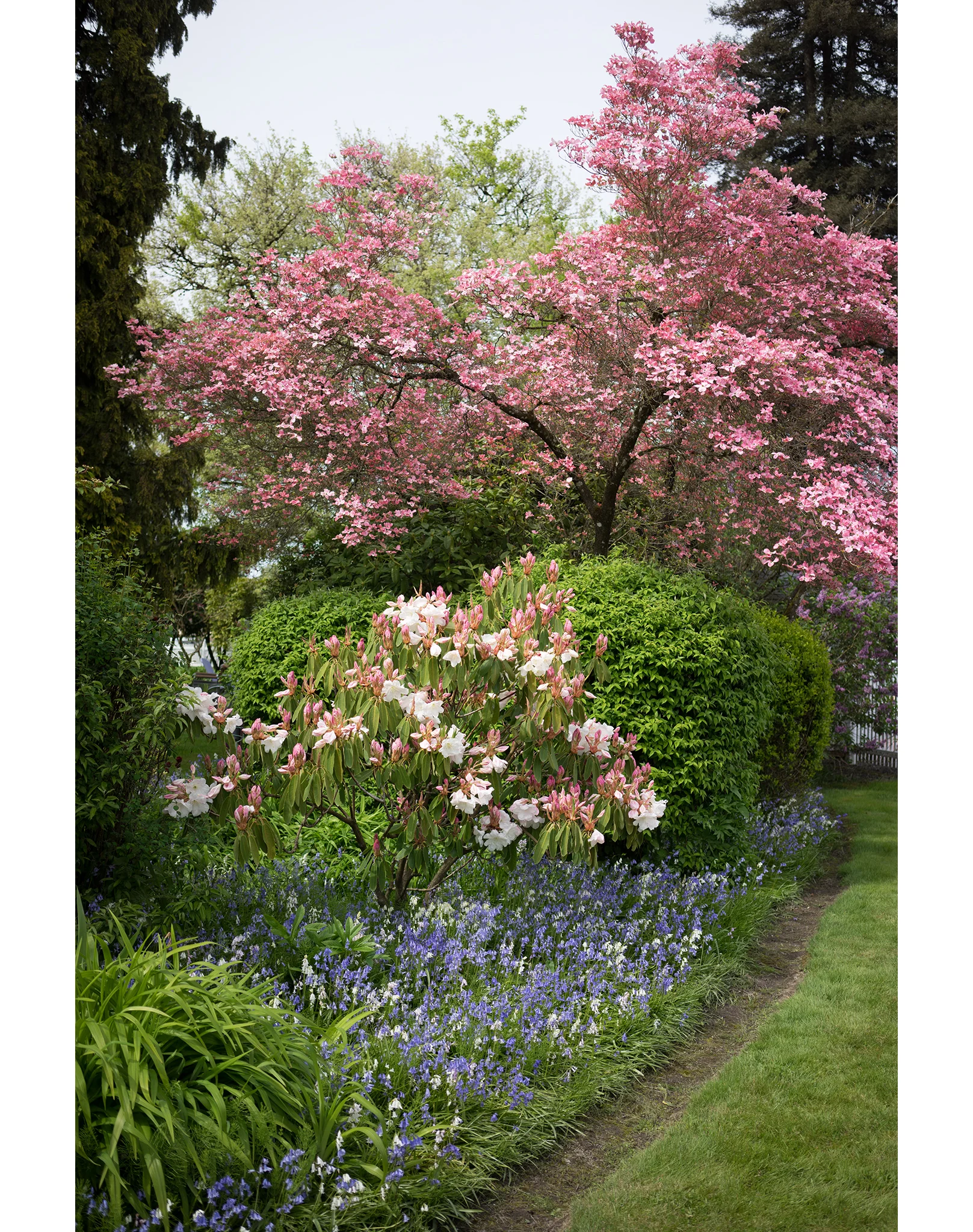 Flower Tree 2.jpg
