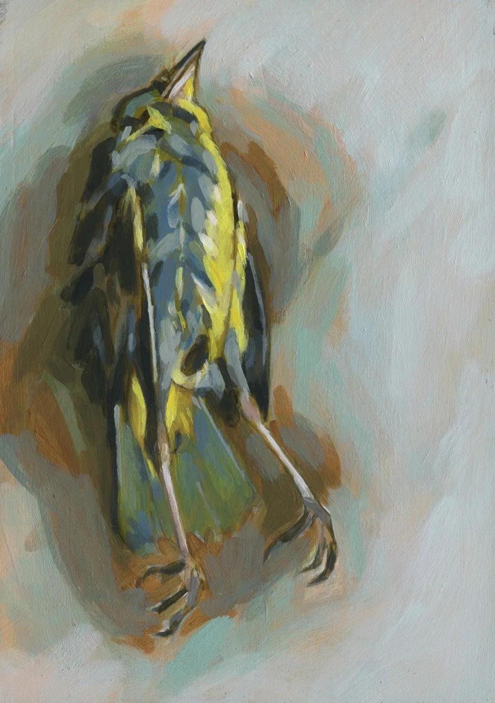 2025 Burmeiste Rare Warbler